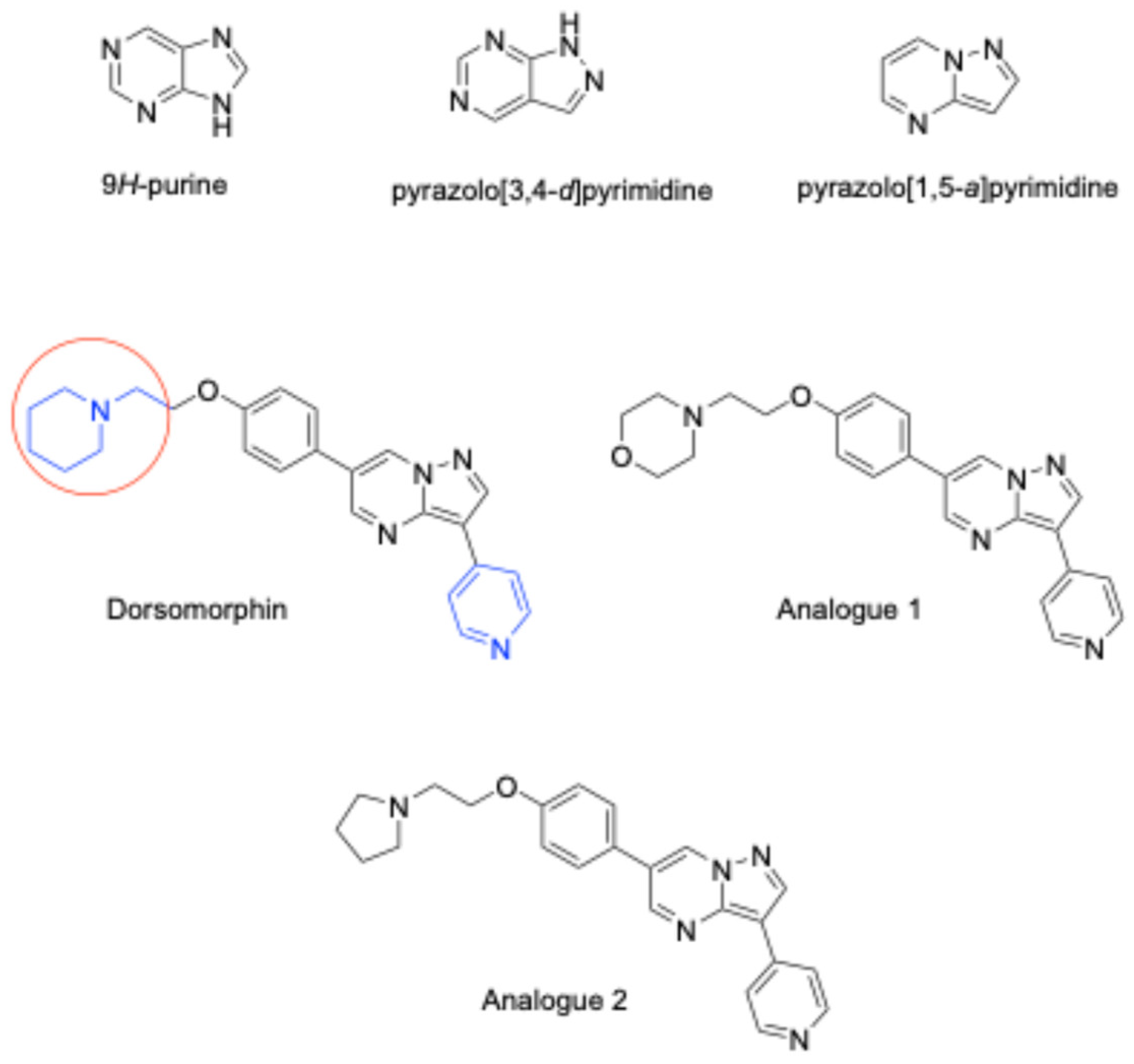 Biomolecules 16 00145 g001 Biomolecules 16 00145 g001