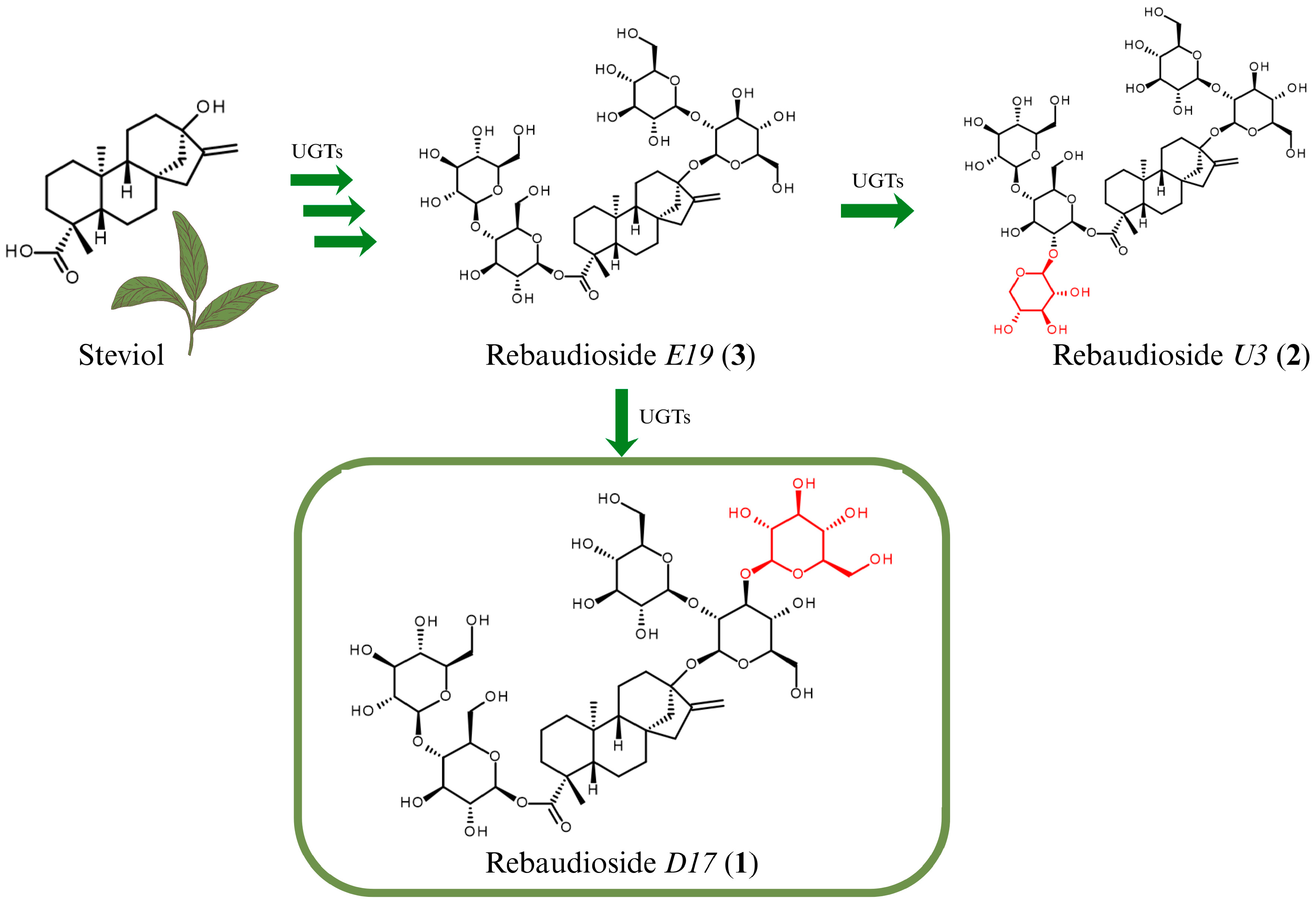Biomolecules 16 00146 g003 Biomolecules 16 00146 g003