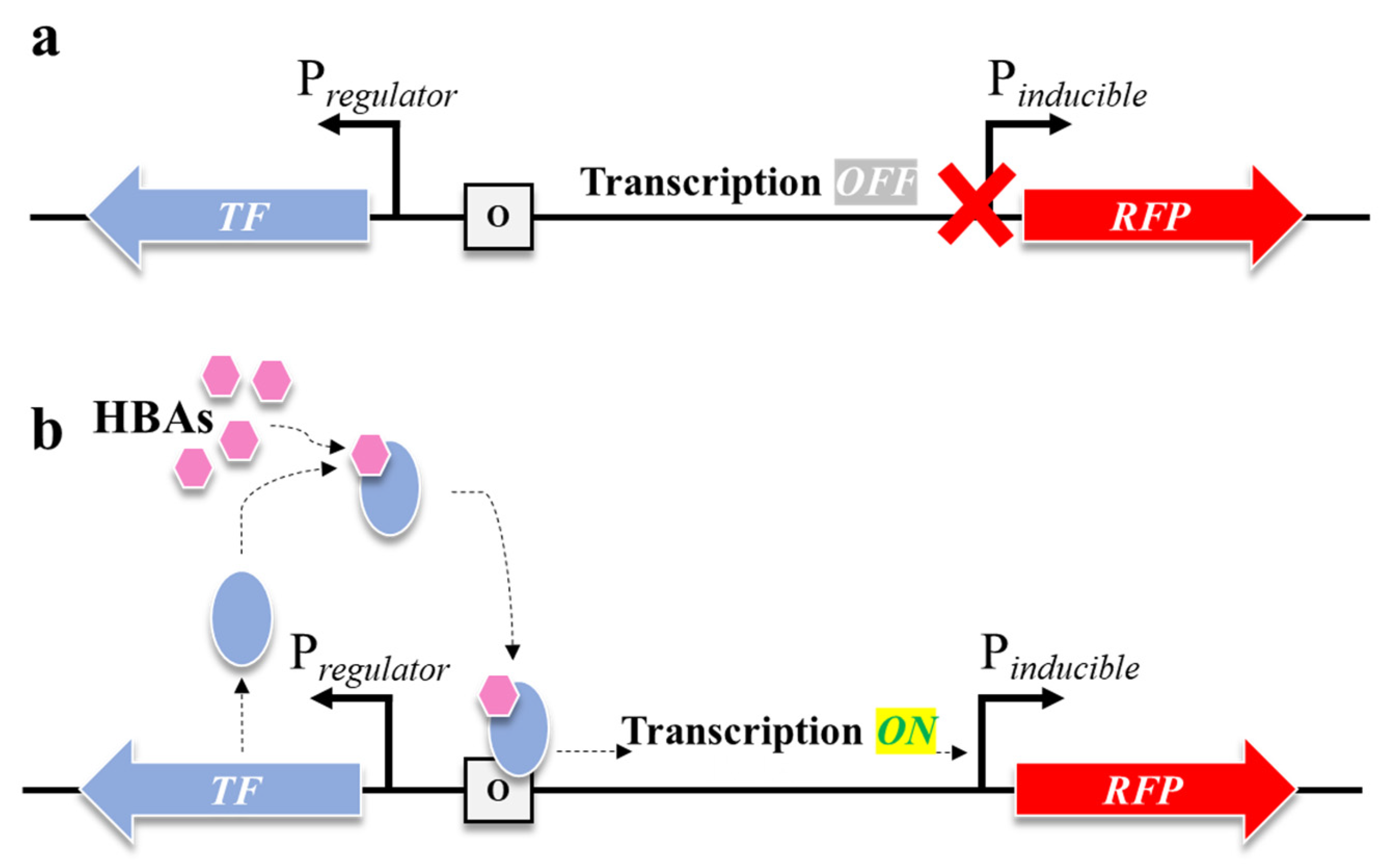 Biomolecules 16 00157 g002 Biomolecules 16 00157 g002