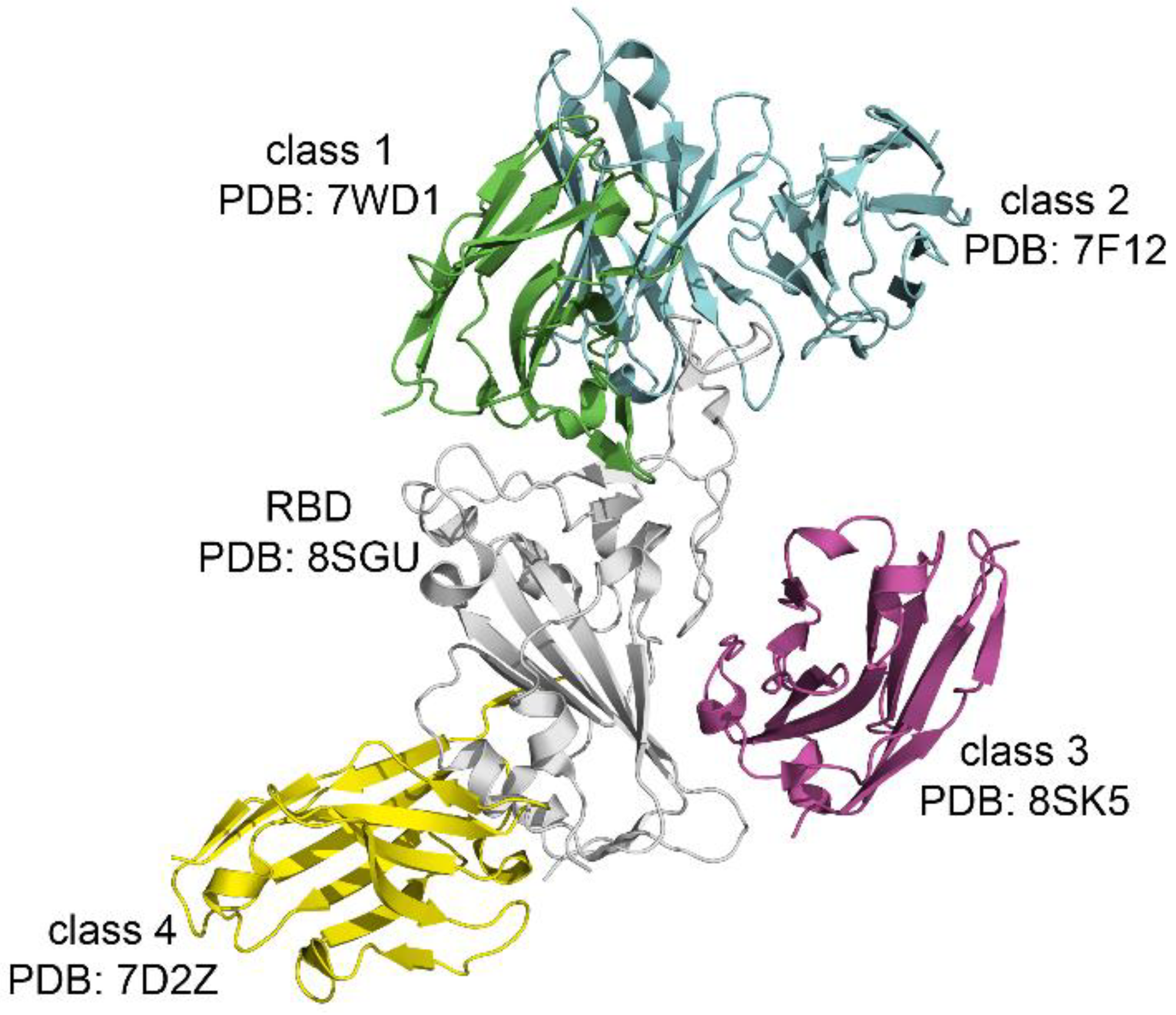 Biomolecules 16 00163 g004