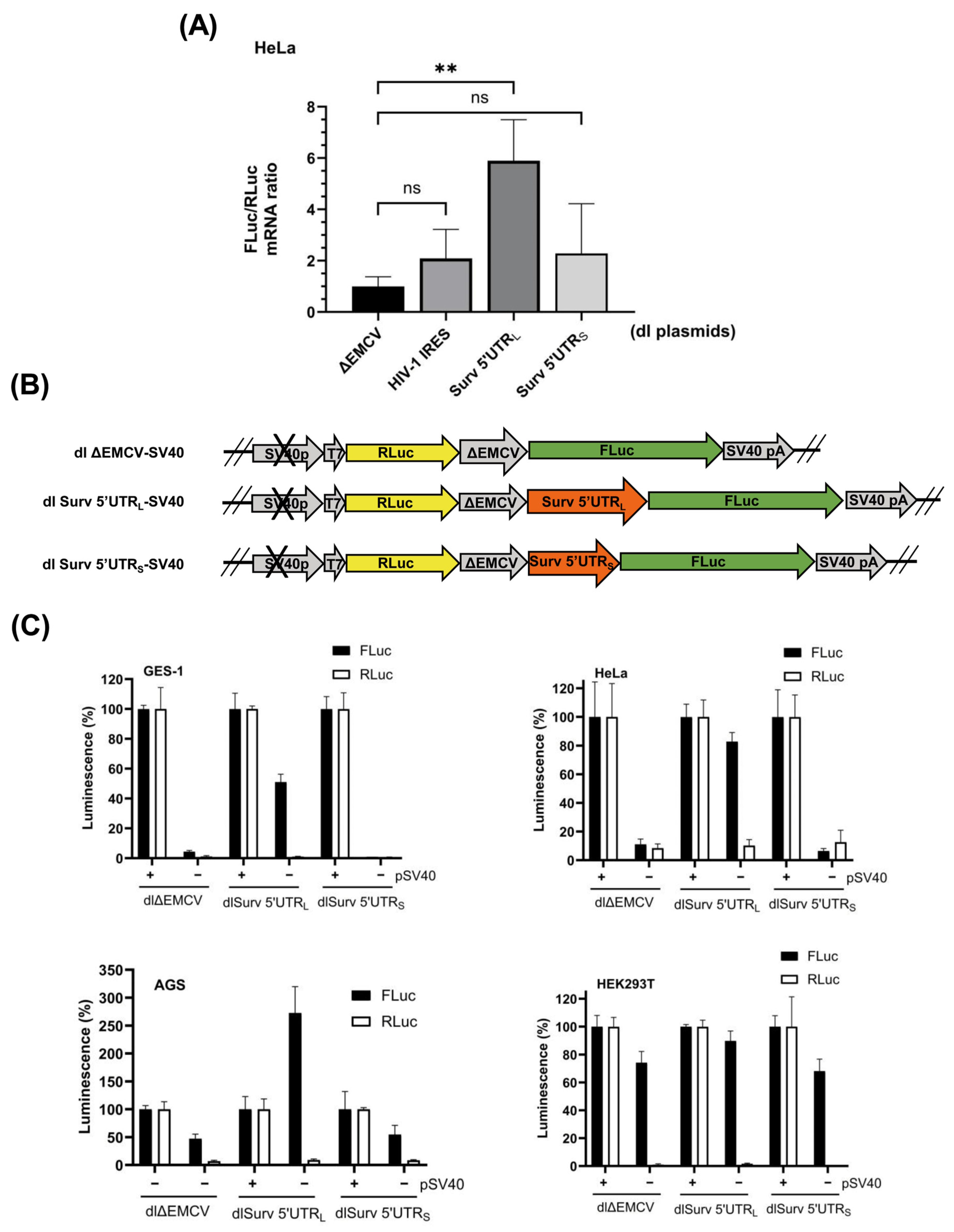 Biomolecules 16 00164 g002