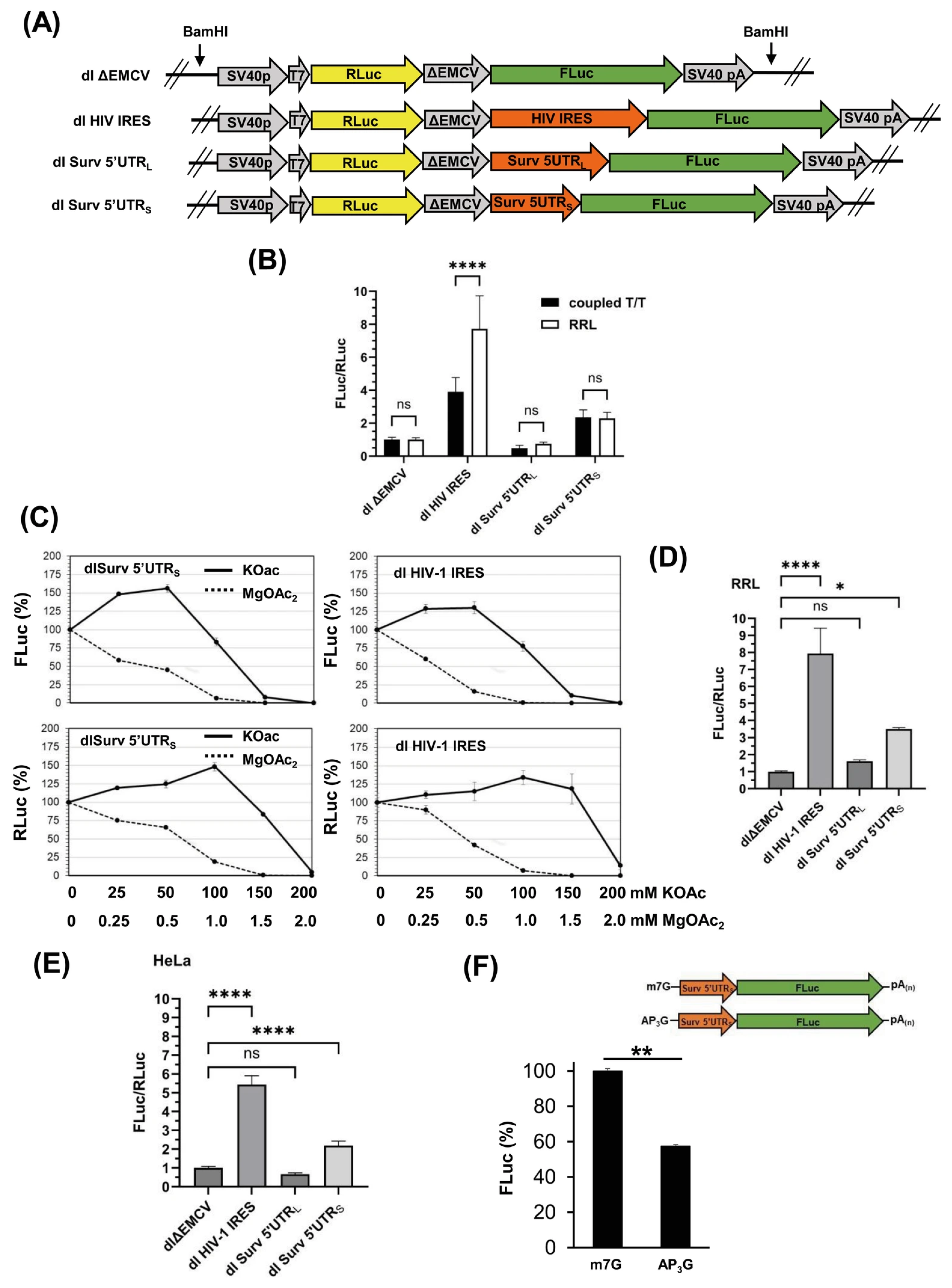 Biomolecules 16 00164 g003