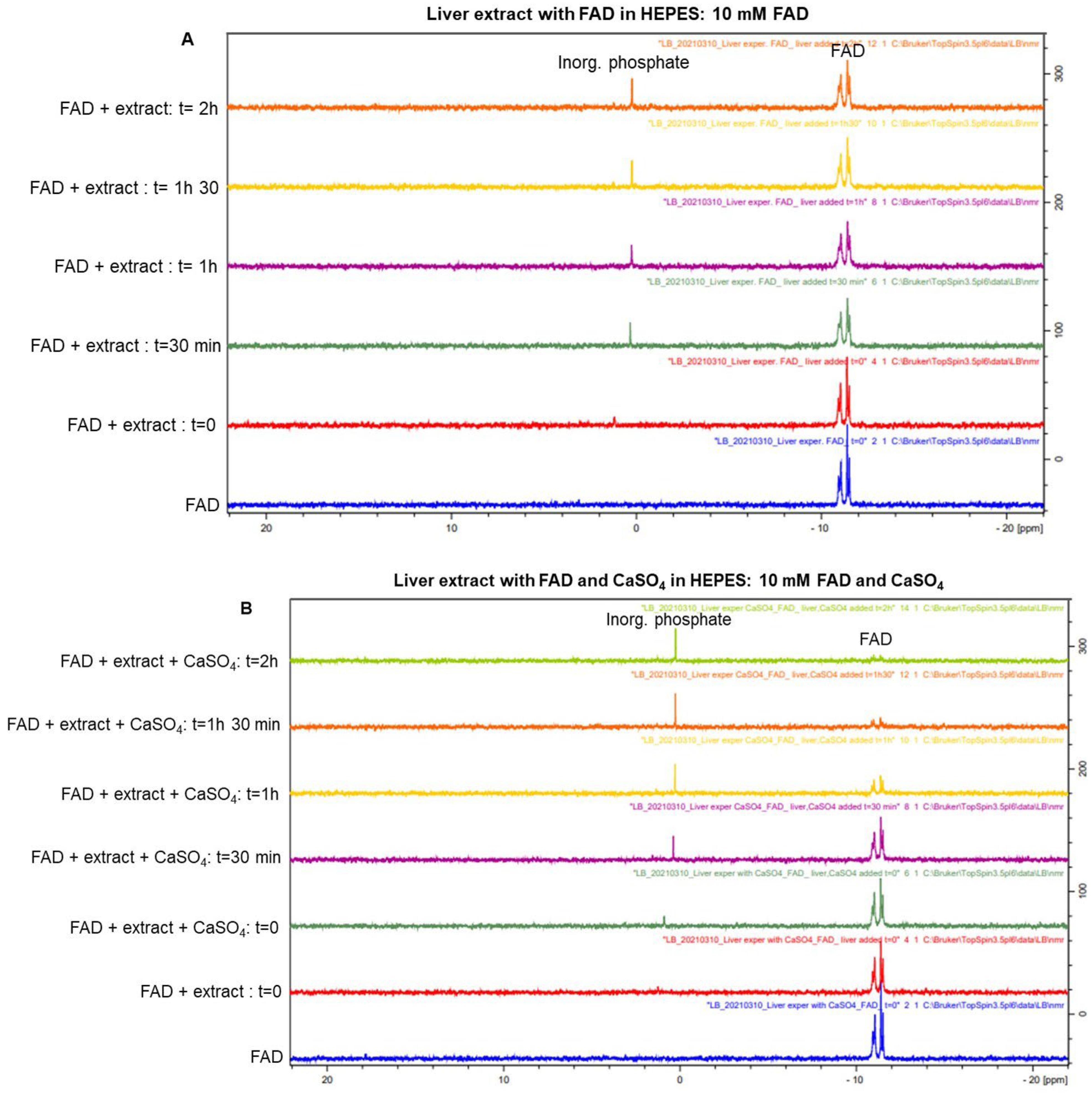 Biomolecules 16 00175 g008a