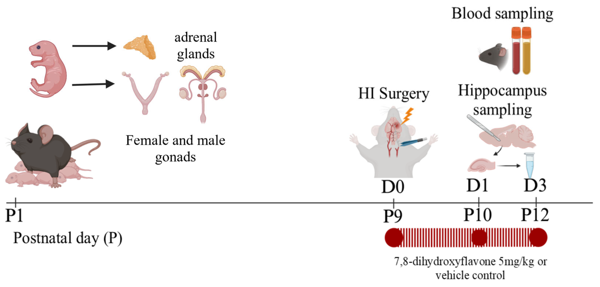 Biomolecules 16 00180 g001