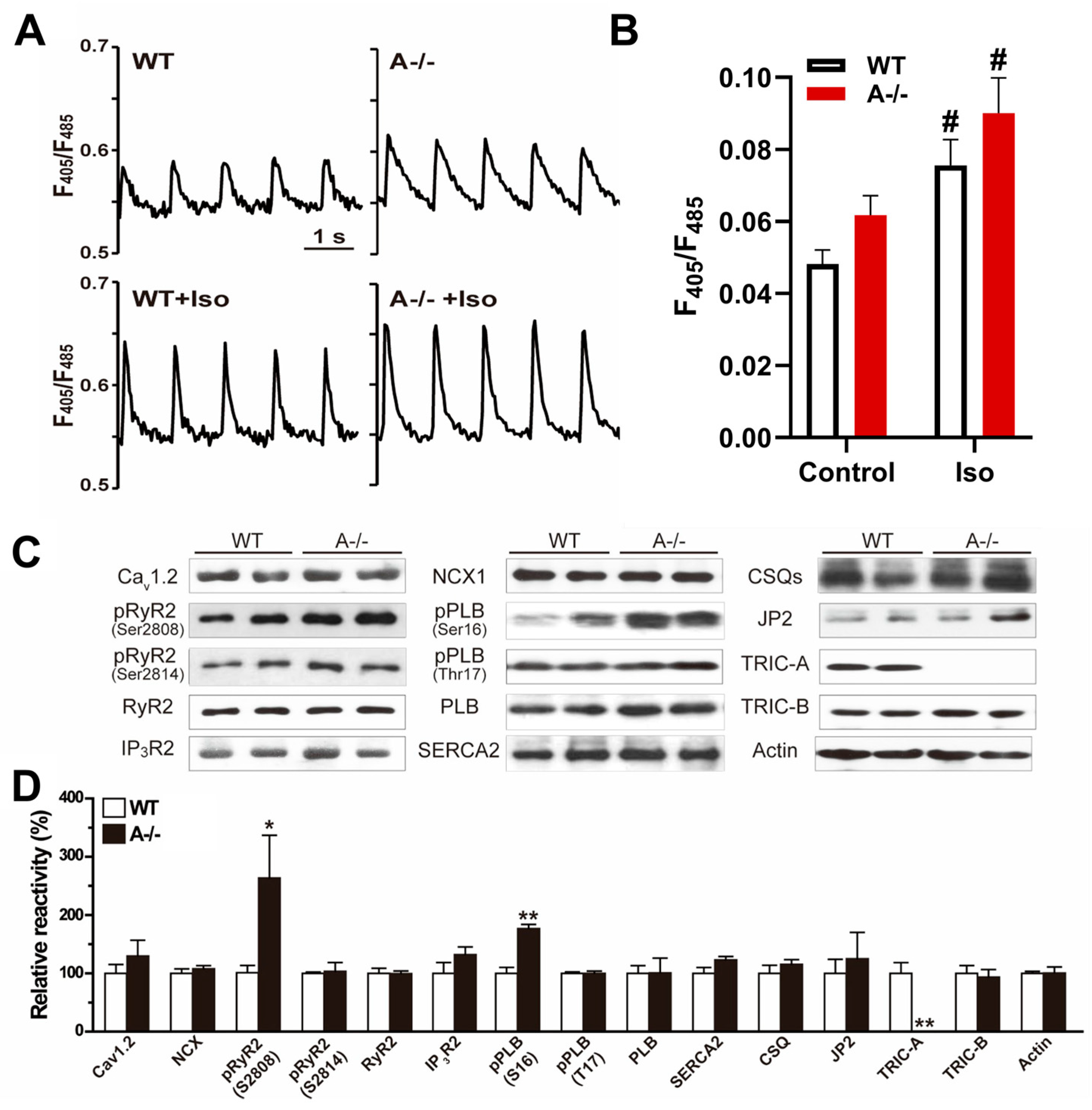 Biomolecules 16 00181 g001