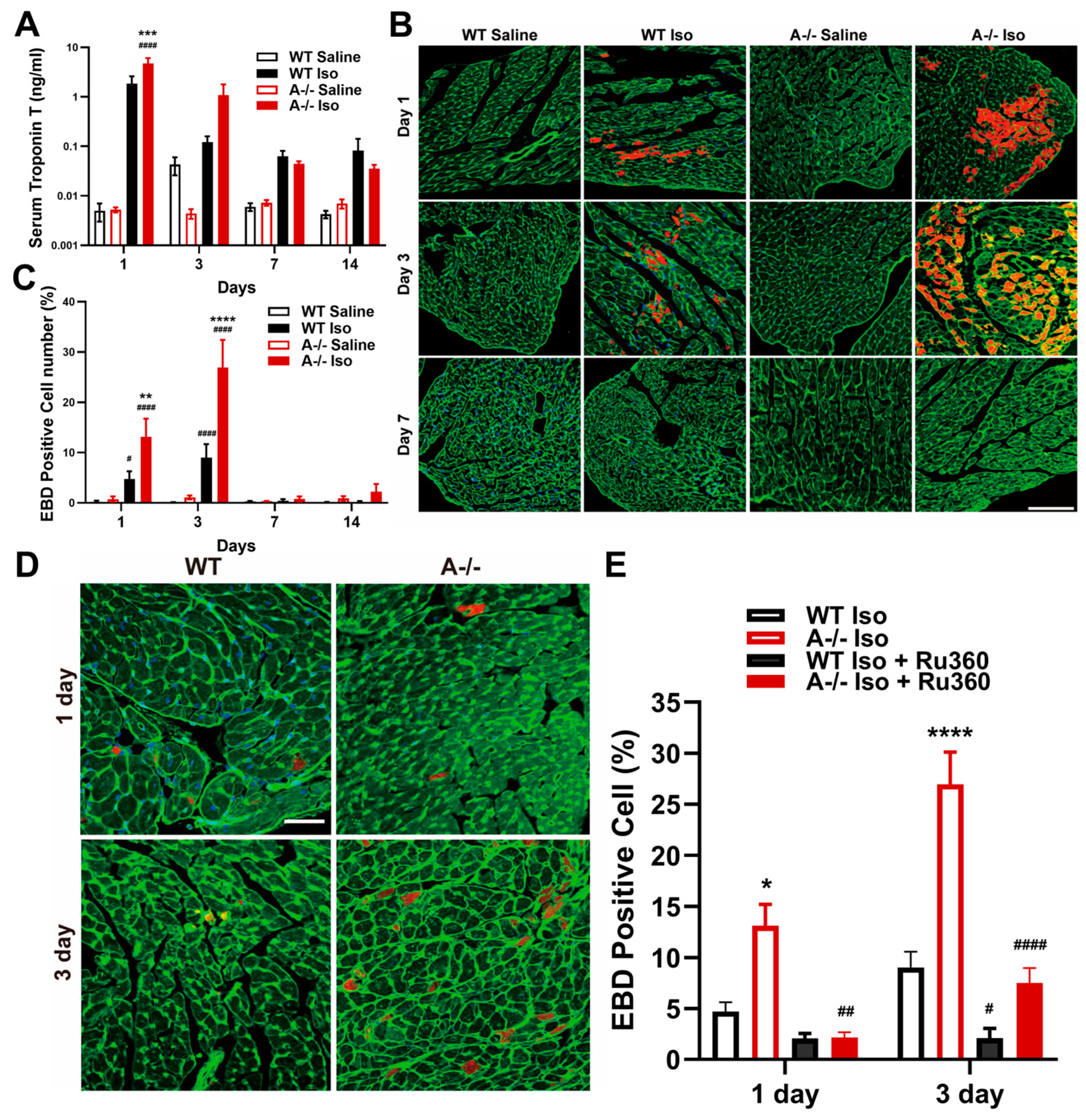 Biomolecules 16 00181 g003