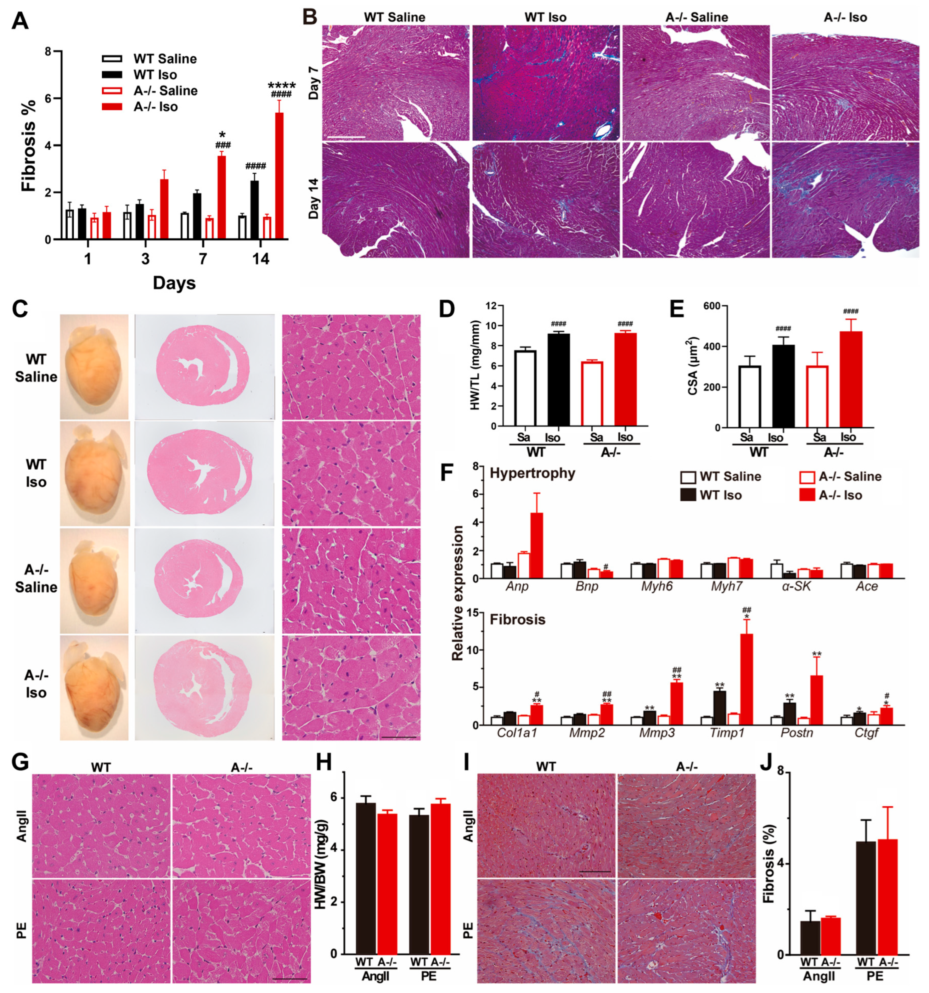 Biomolecules 16 00181 g004