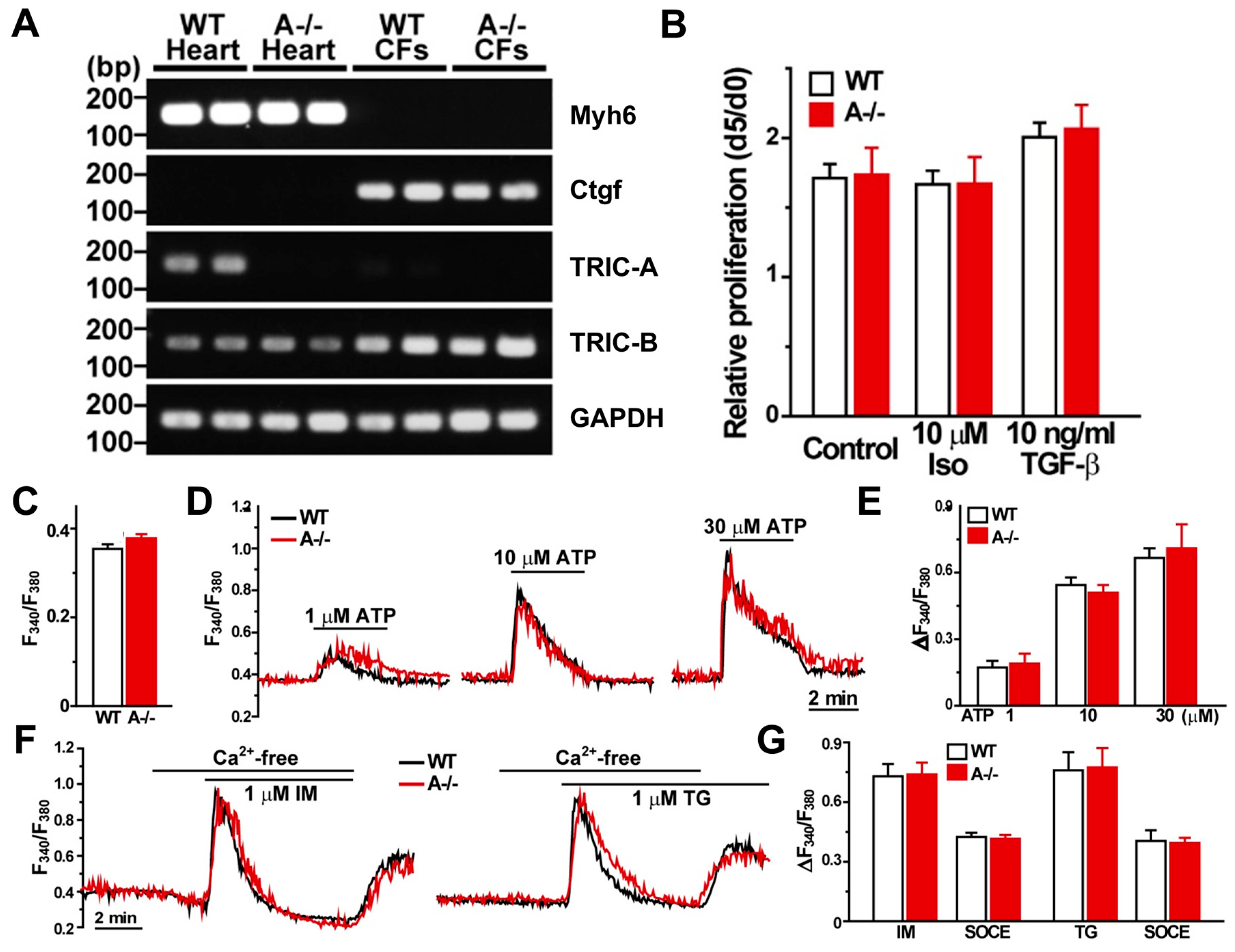 Biomolecules 16 00181 g005