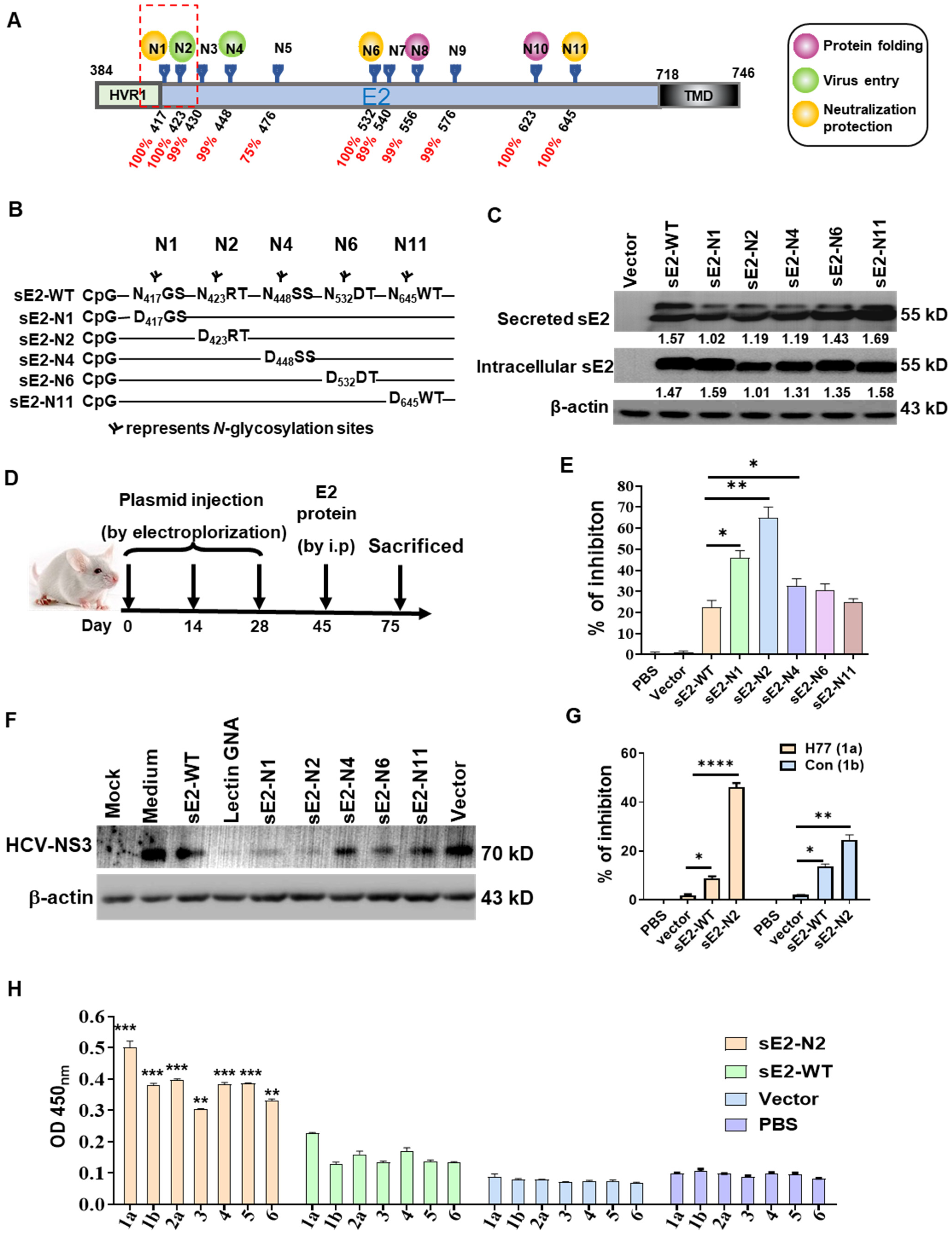 Biomolecules 16 00183 g001 Biomolecules 16 00183 g001