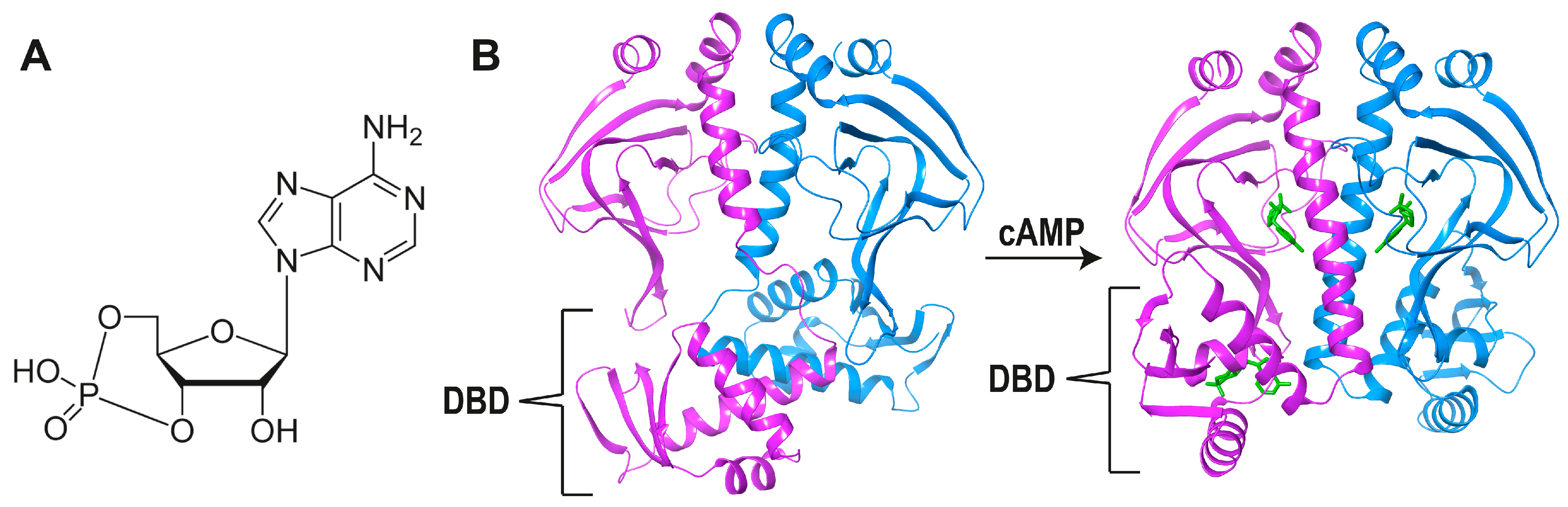 Biomolecules 16 00189 g002