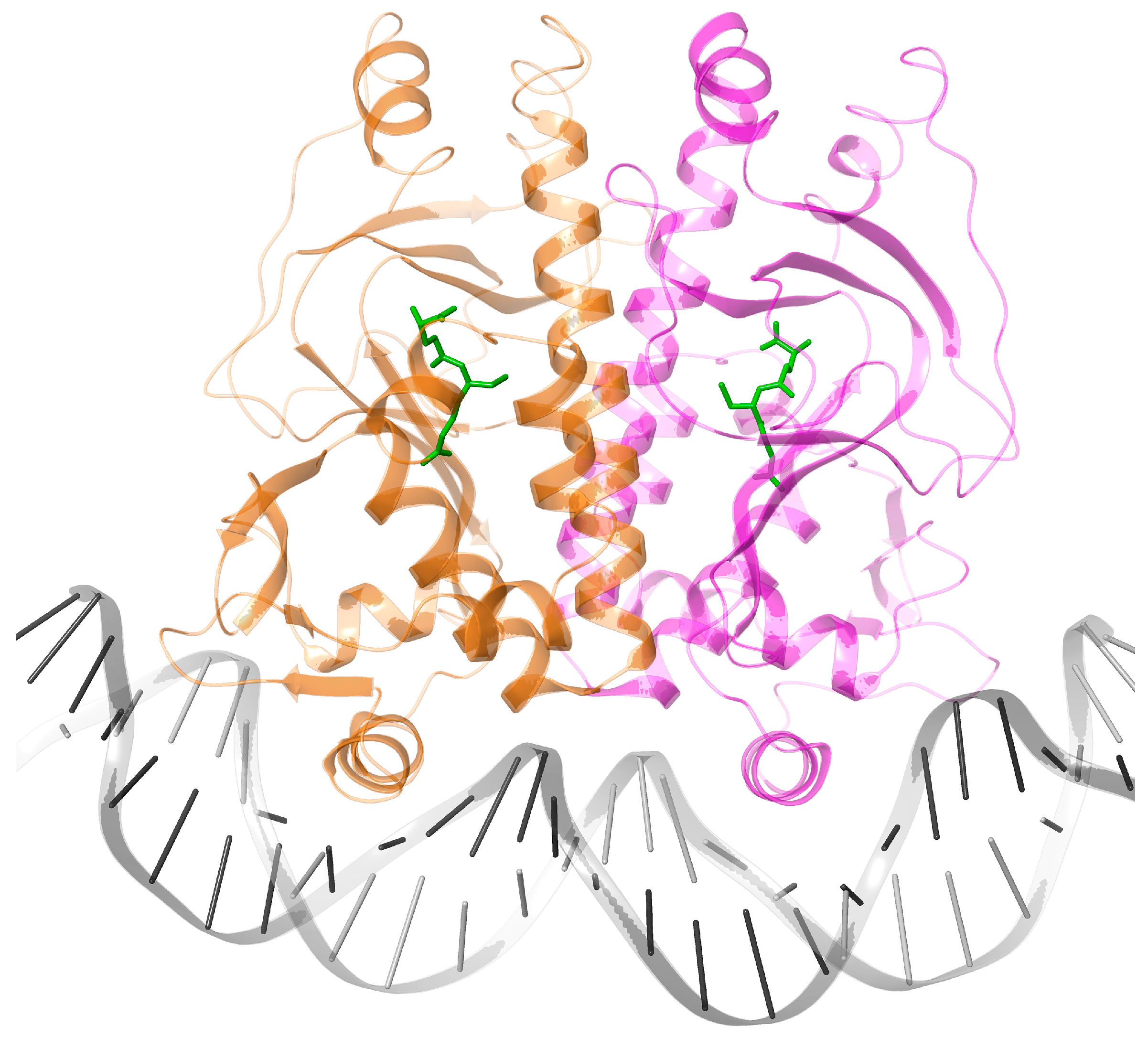 Biomolecules 16 00189 g006