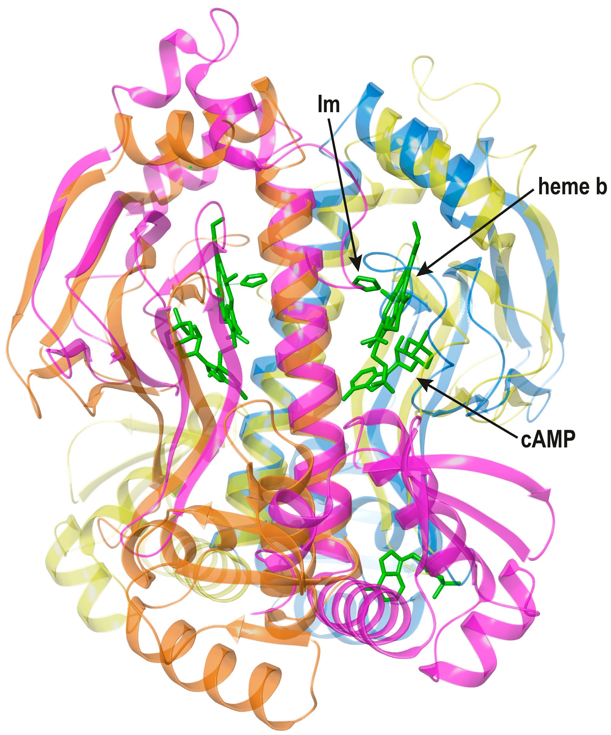 Biomolecules 16 00189 g007