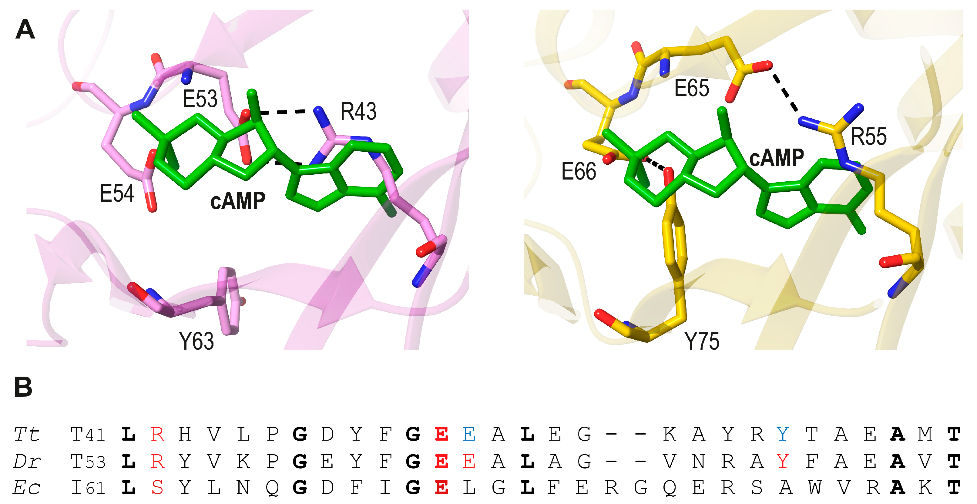 Biomolecules 16 00189 g008