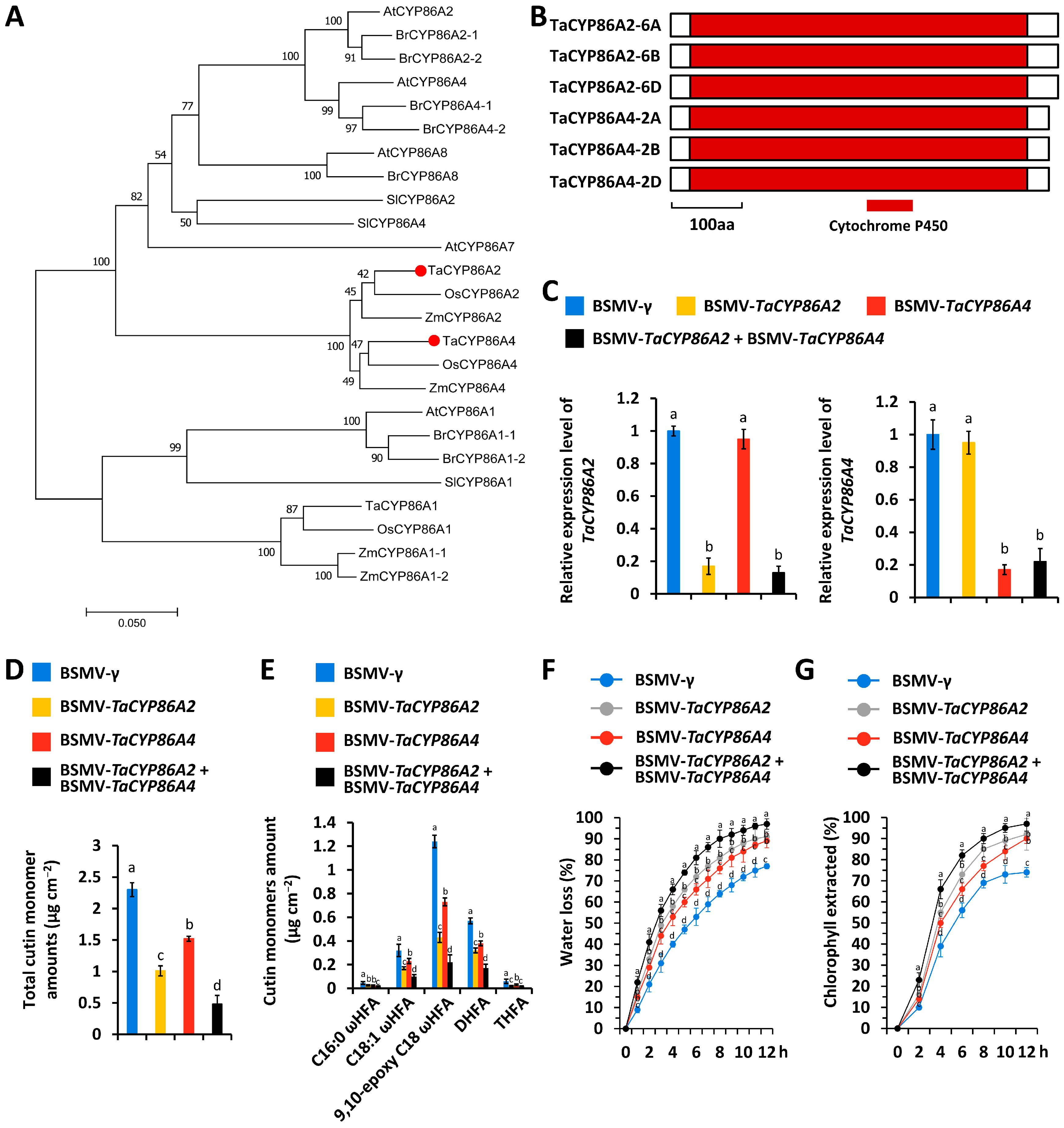 Biomolecules 16 00192 g001