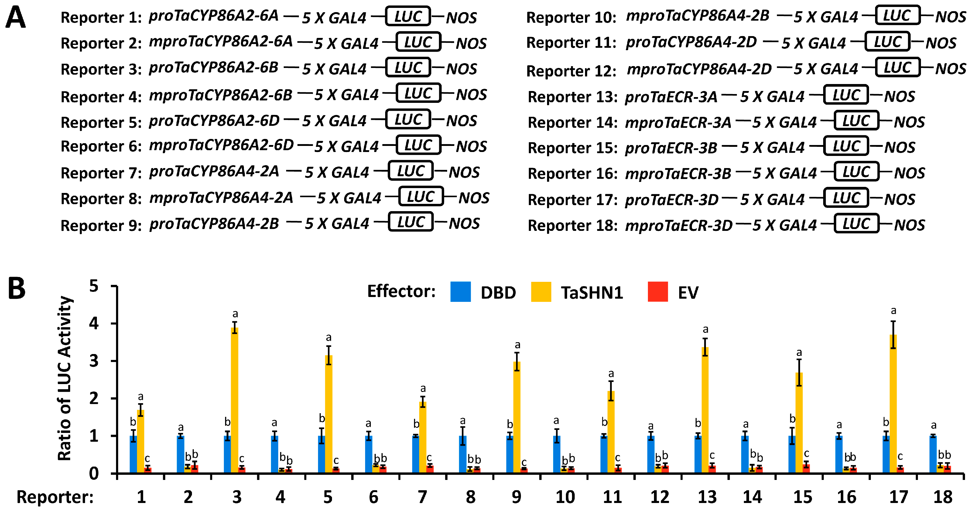 Biomolecules 16 00192 g003