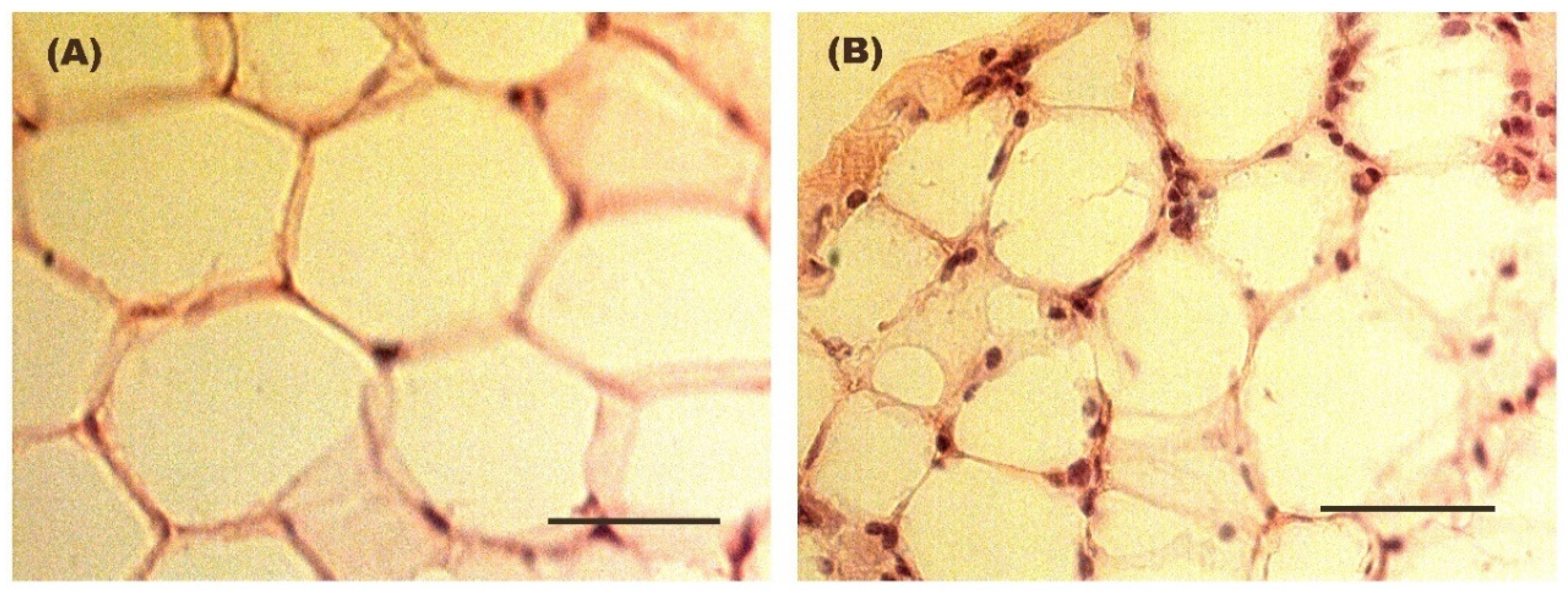 Biomolecules 16 00193 g003