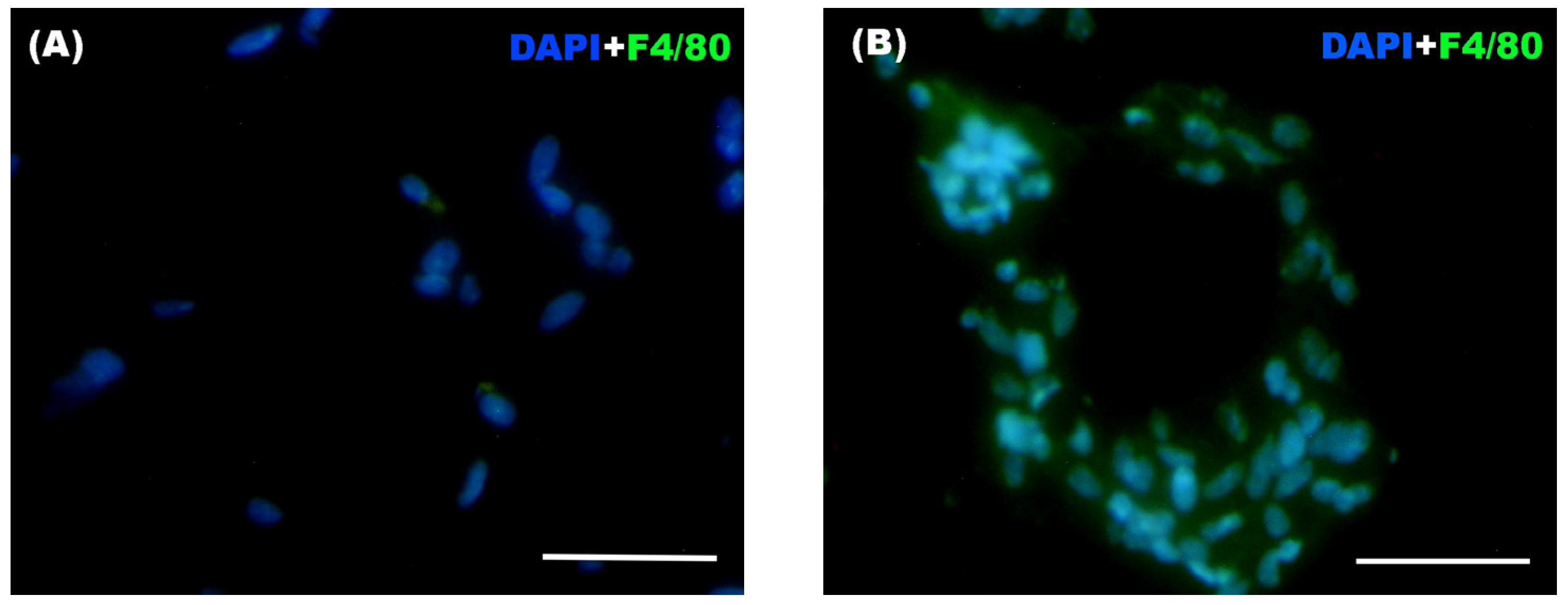 Biomolecules 16 00193 g009