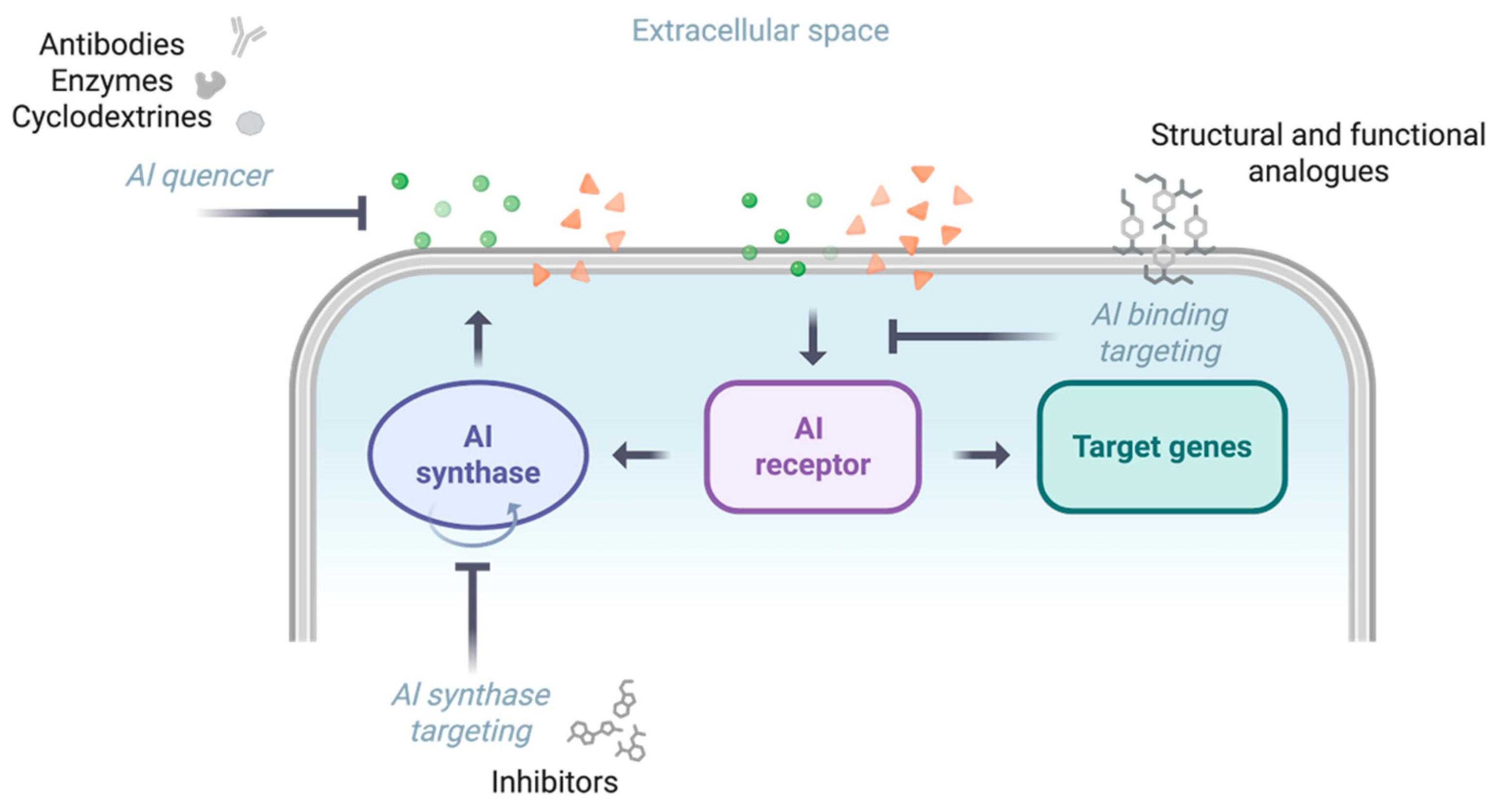 Biomolecules 16 00197 g004