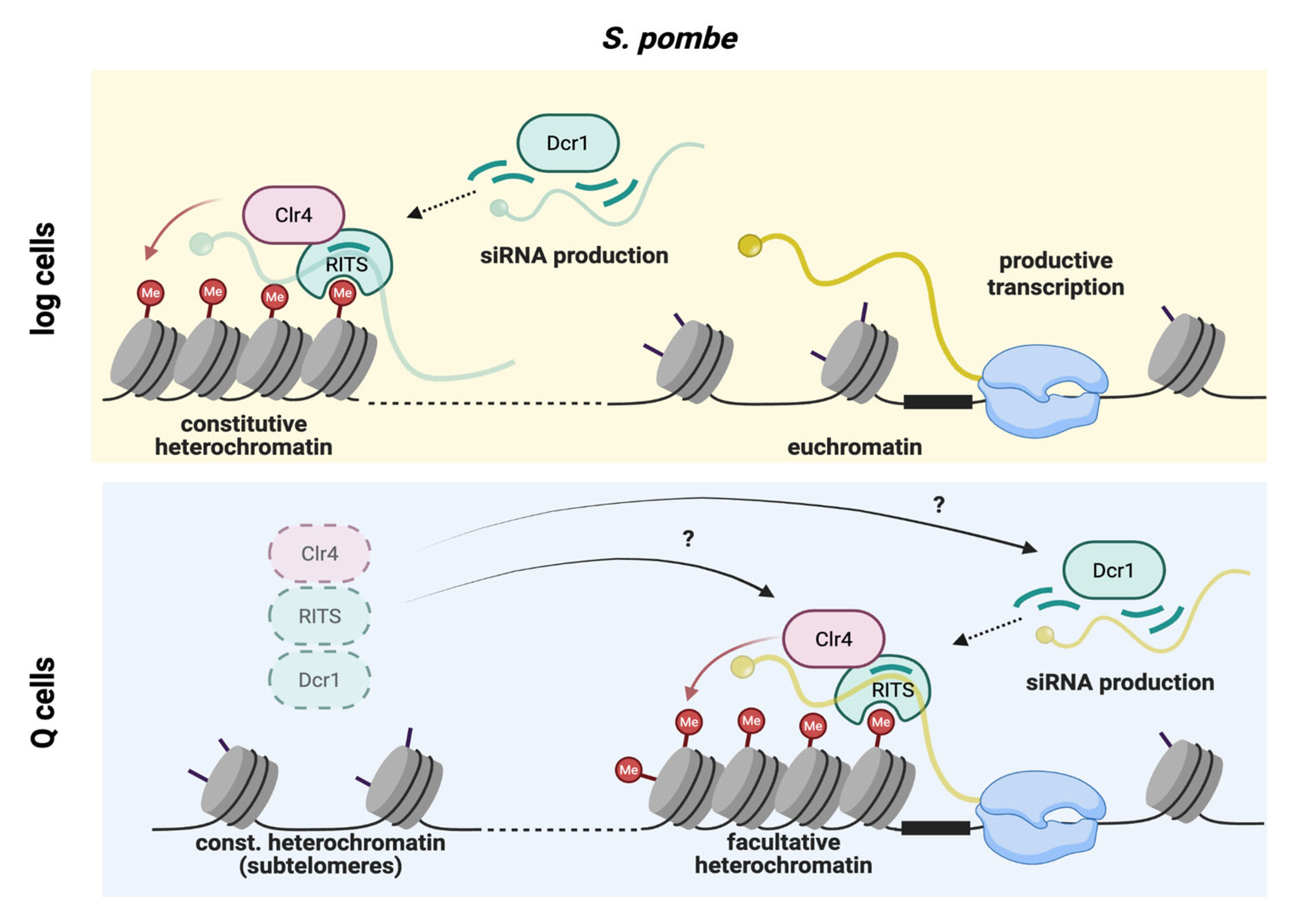 Biomolecules 16 00203 g004 Biomolecules 16 00203 g004