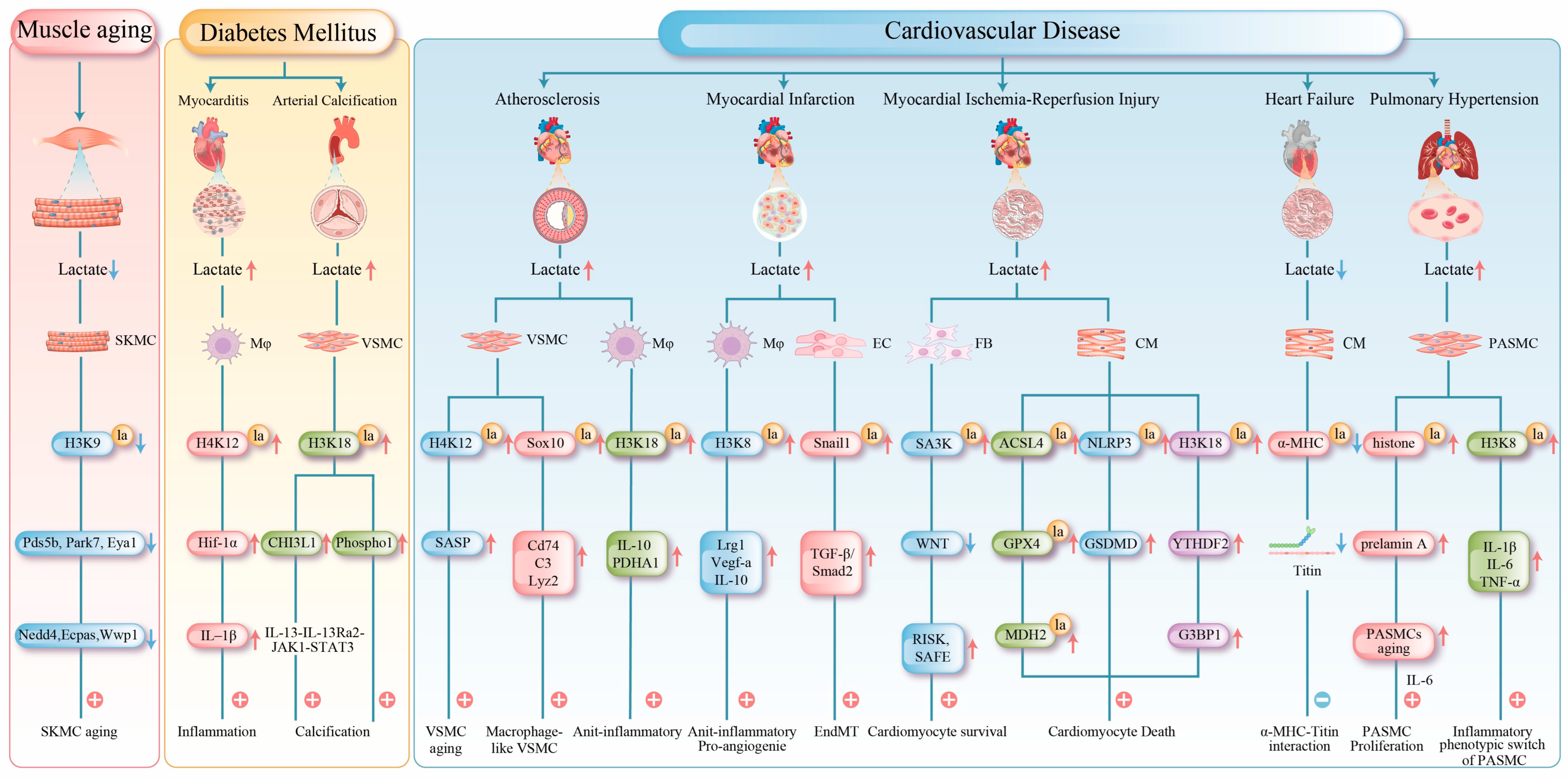 Biomolecules 16 00212 g003 Biomolecules 16 00212 g003