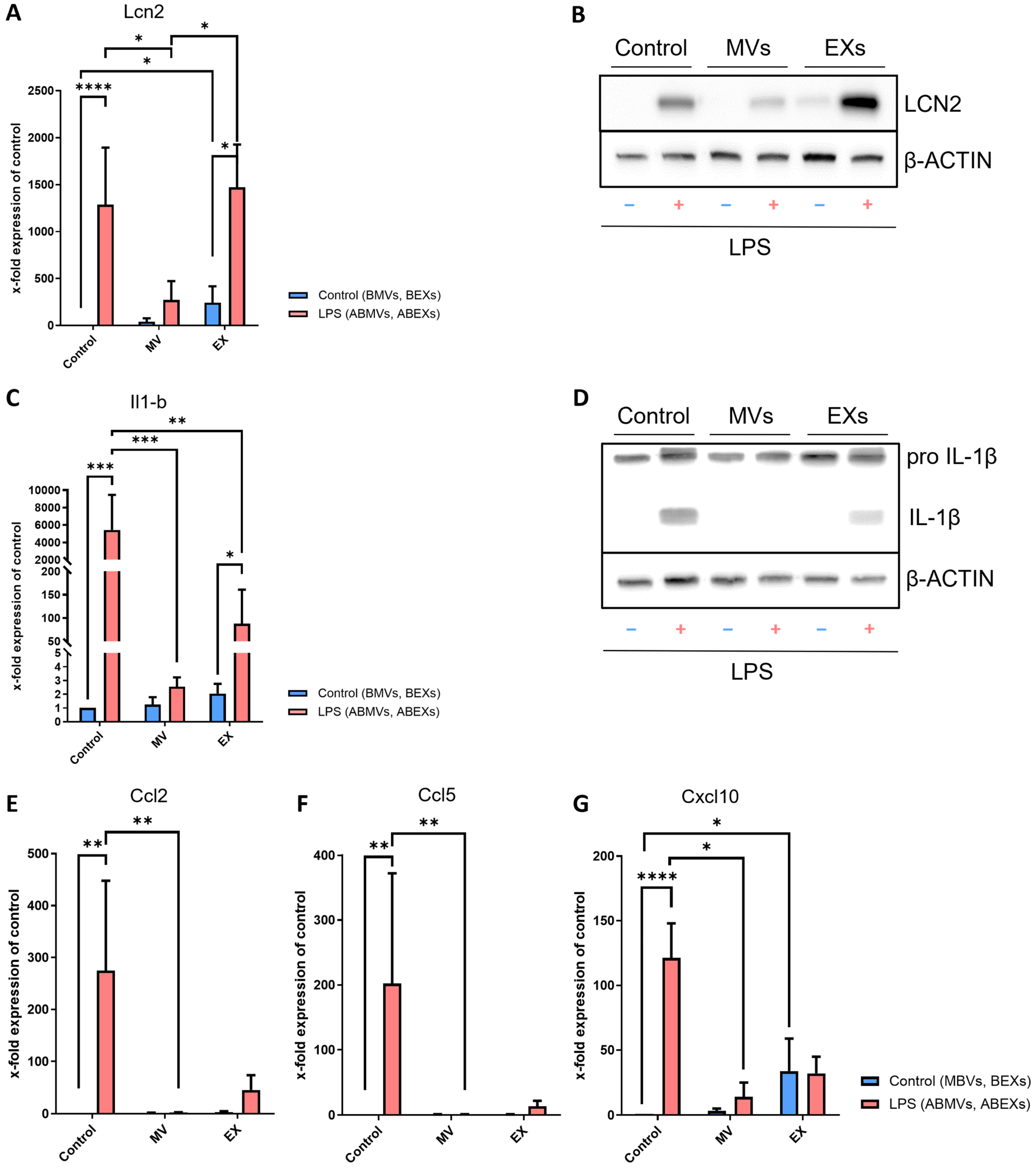 Biomolecules 16 00224 g005