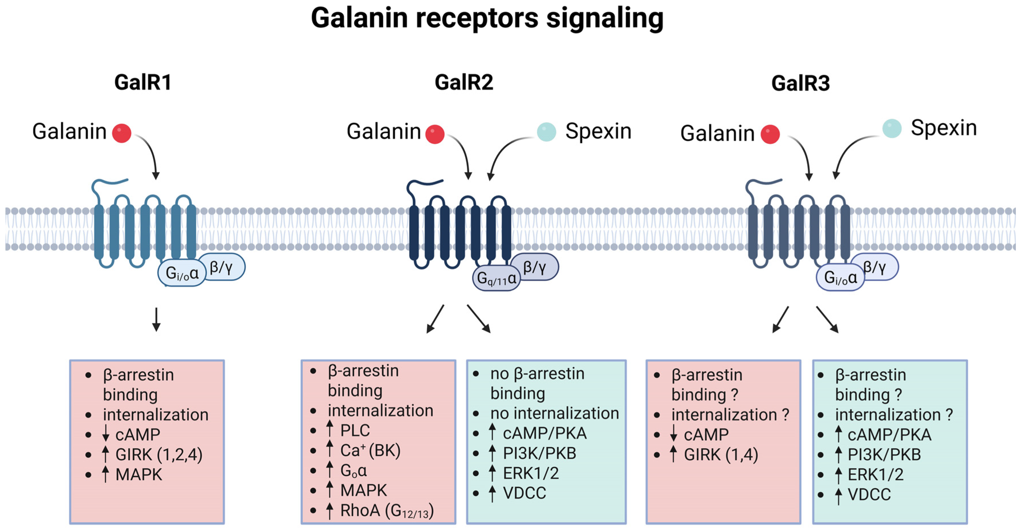 Biomolecules 16 00236 g005 Biomolecules 16 00236 g005