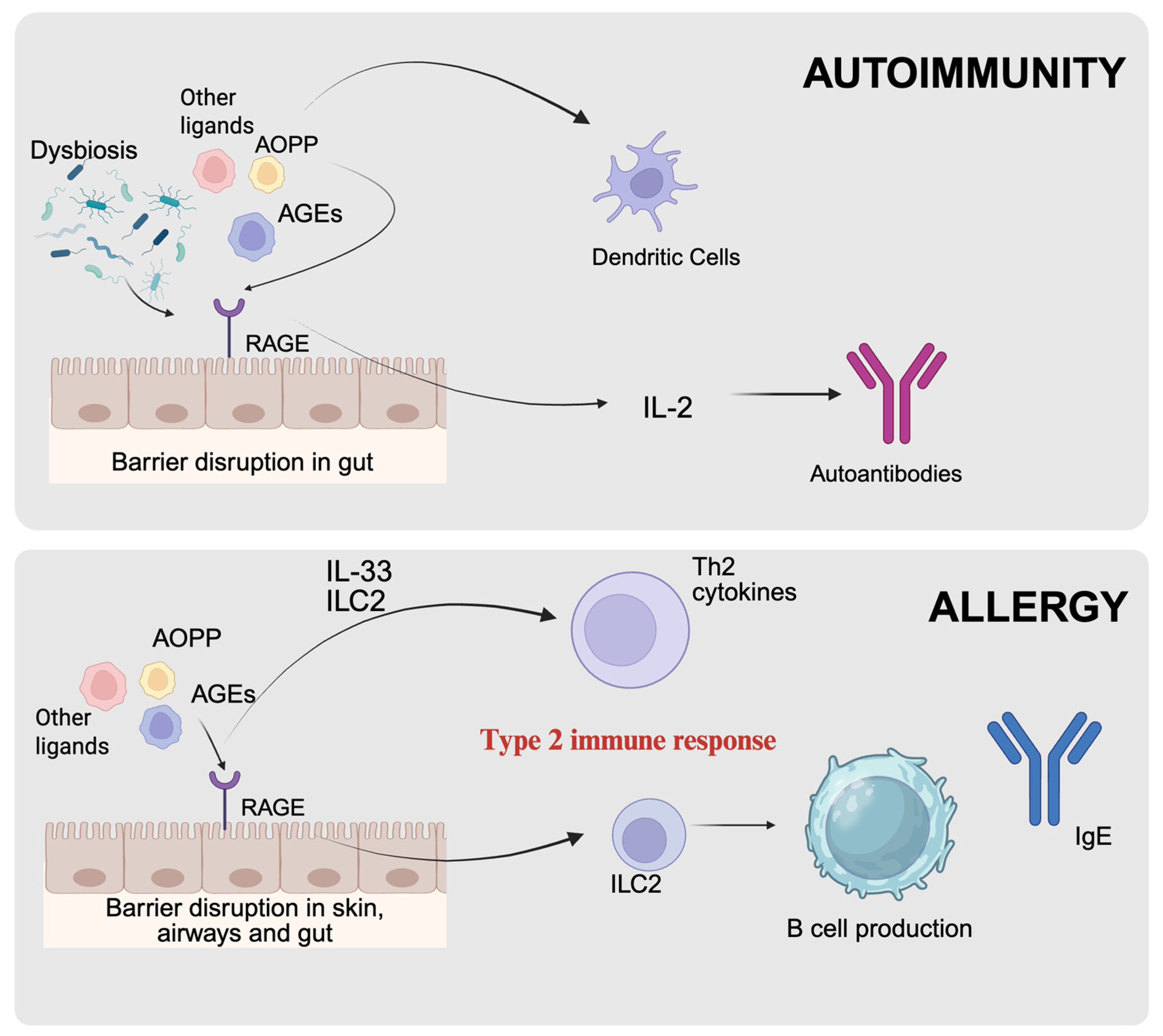 Biomolecules 16 00241 g001 Biomolecules 16 00241 g001
