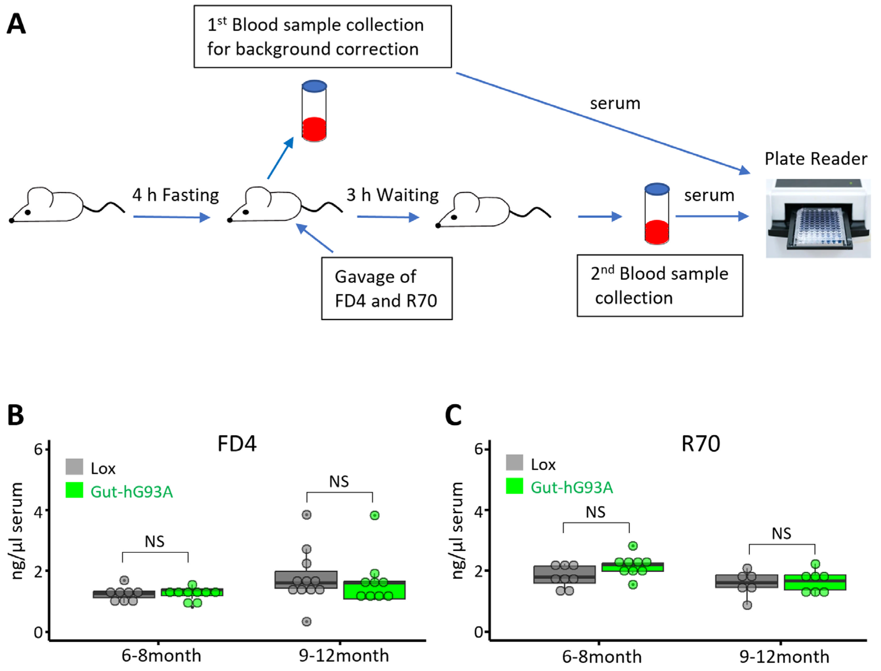 Biomolecules 16 00253 g002