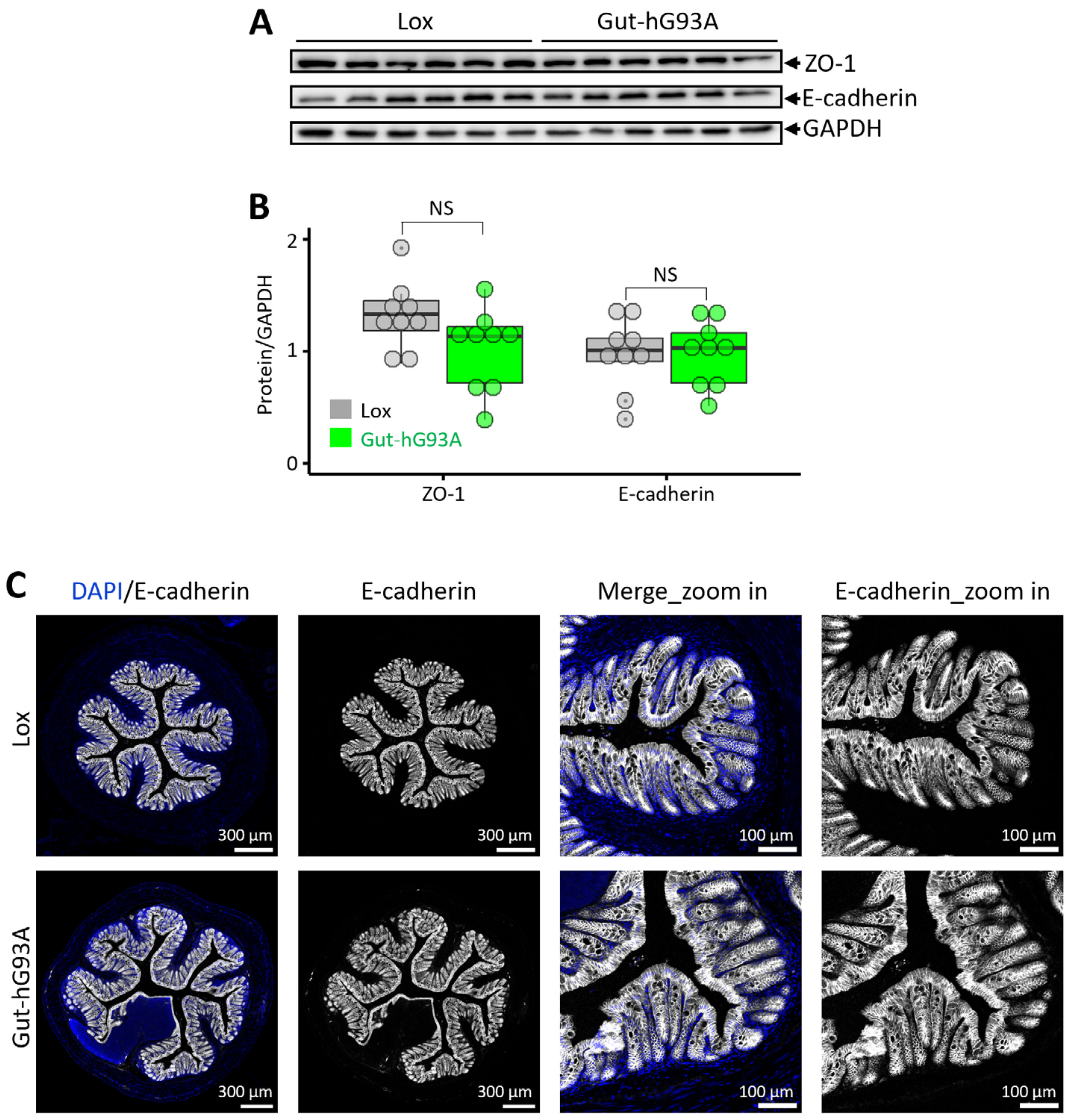 Biomolecules 16 00253 g003