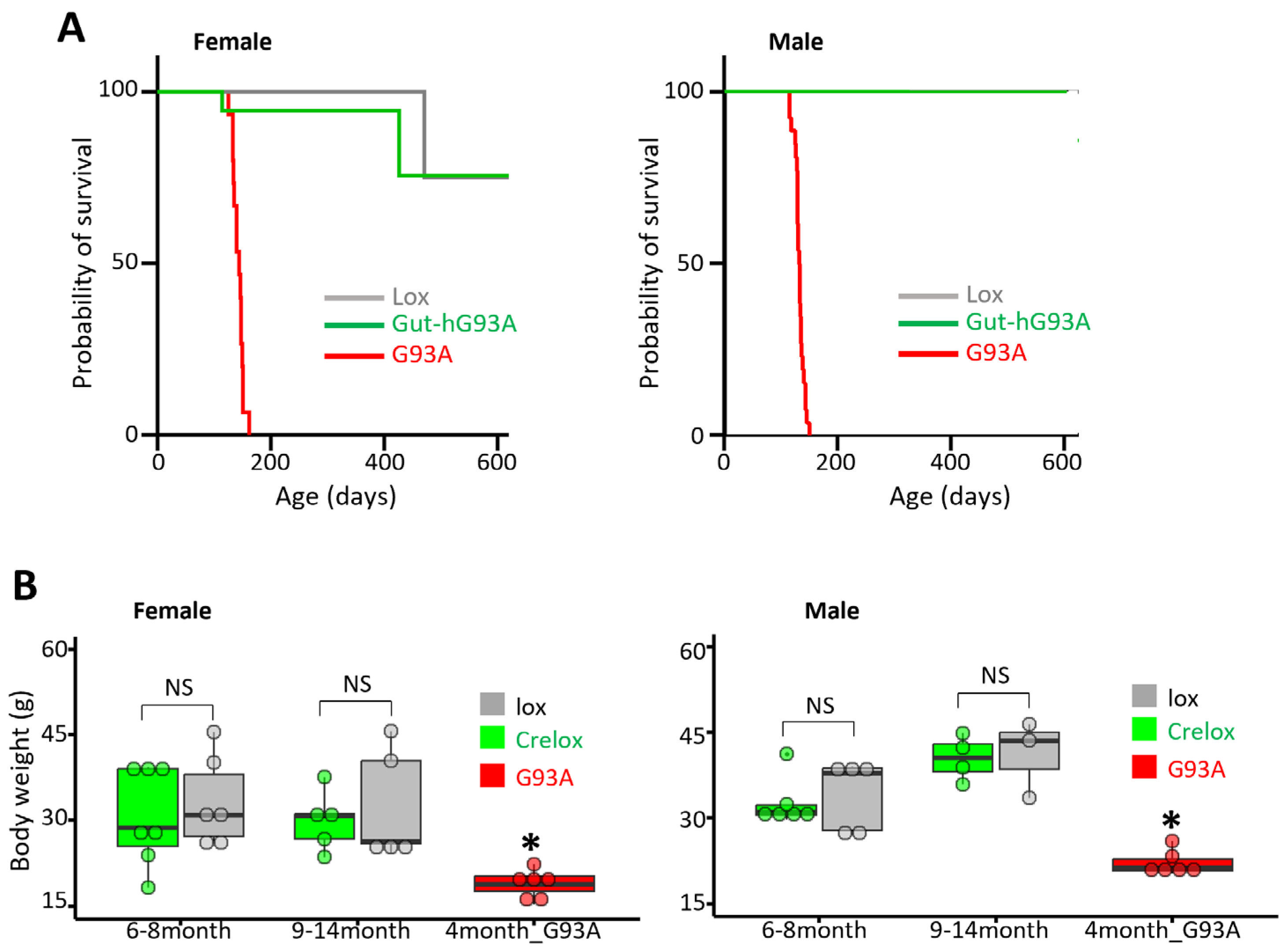 Biomolecules 16 00253 g005