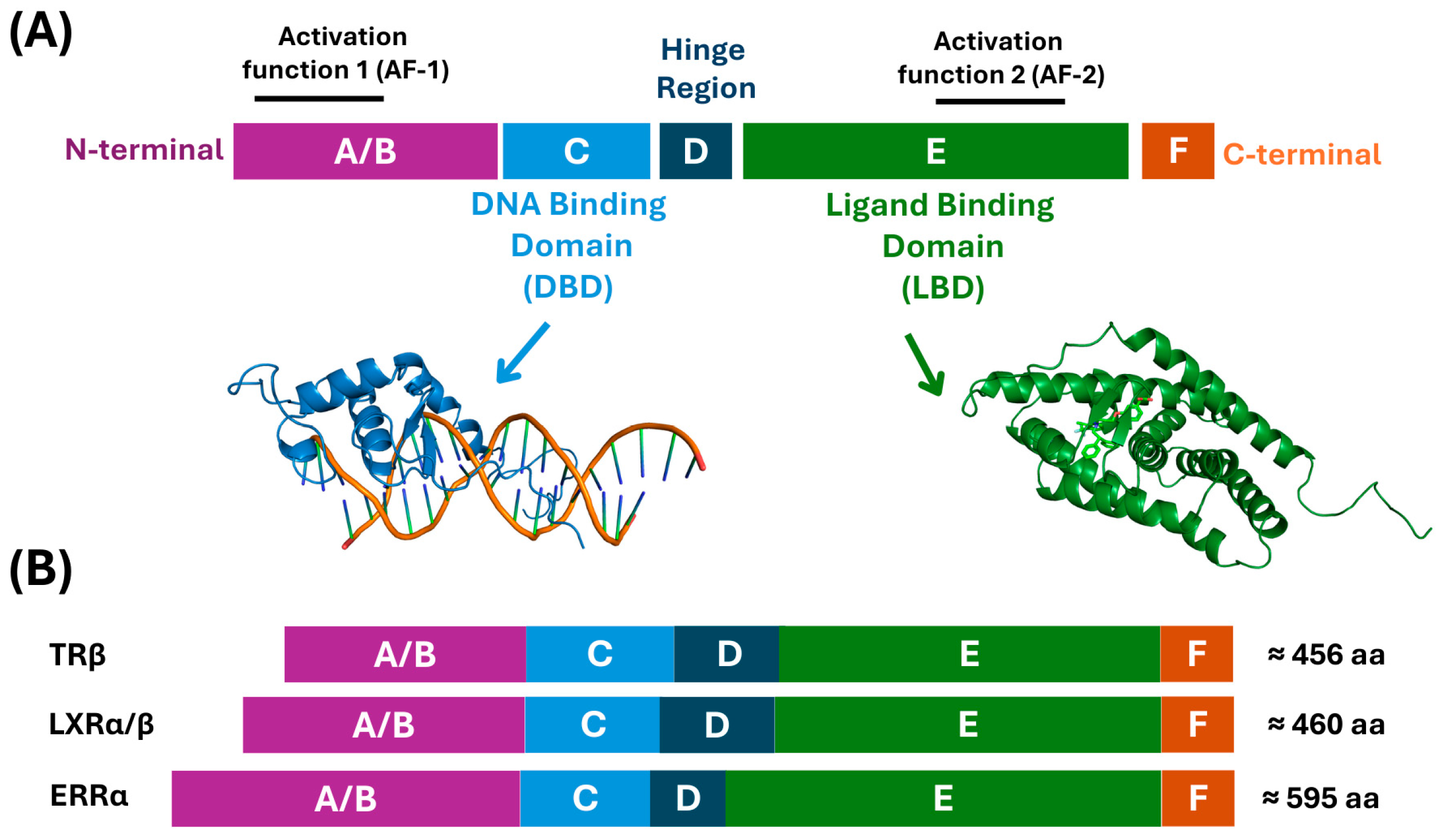 Biomolecules 16 00272 g001 Biomolecules 16 00272 g001