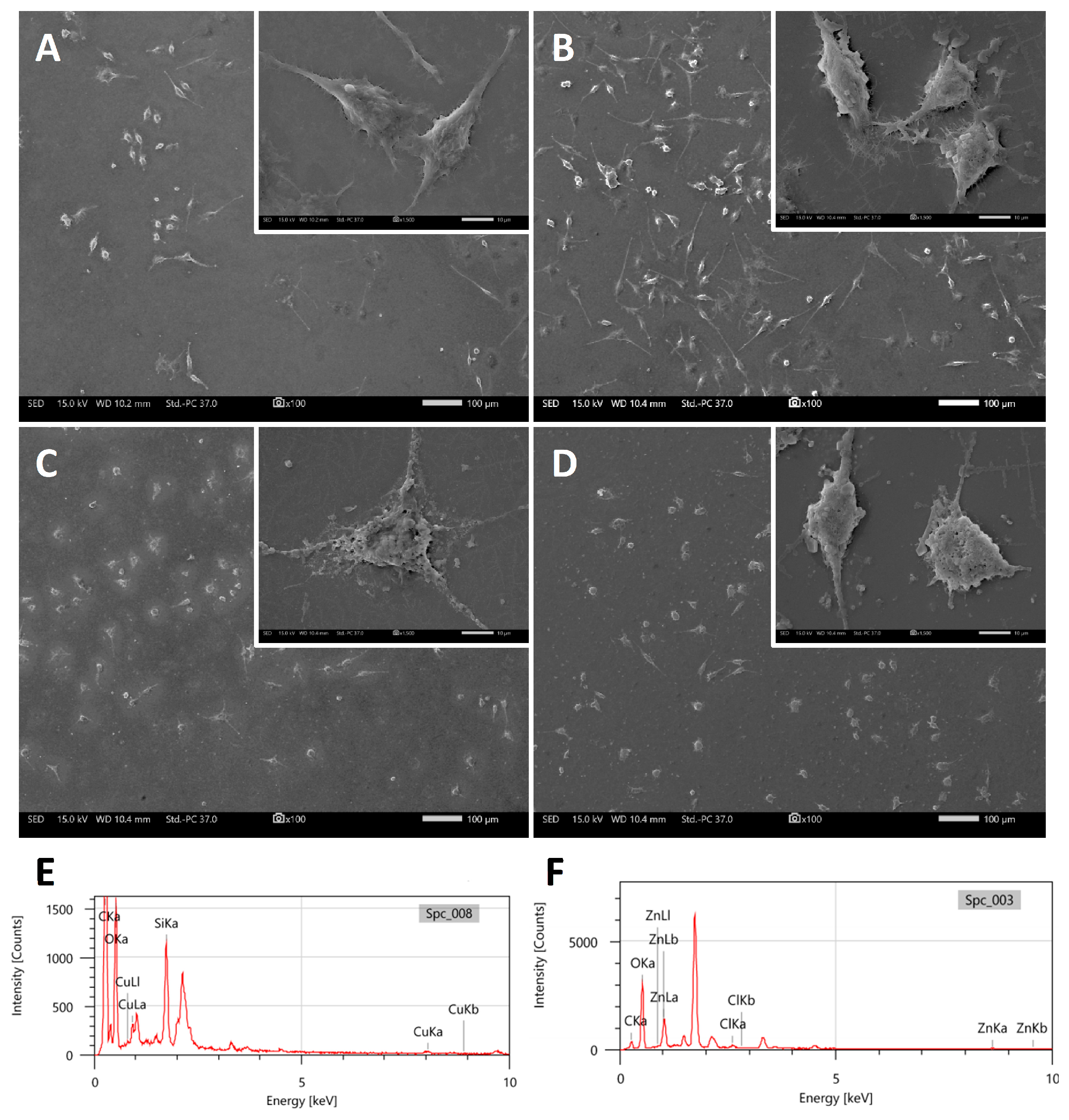 Biomolecules 16 00284 g011 Biomolecules 16 00284 g011