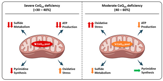 l carnitine bodybuilding when to take When To Take L Carnitine to Maximise Your Shredding and Beyond  BSc  Supplements