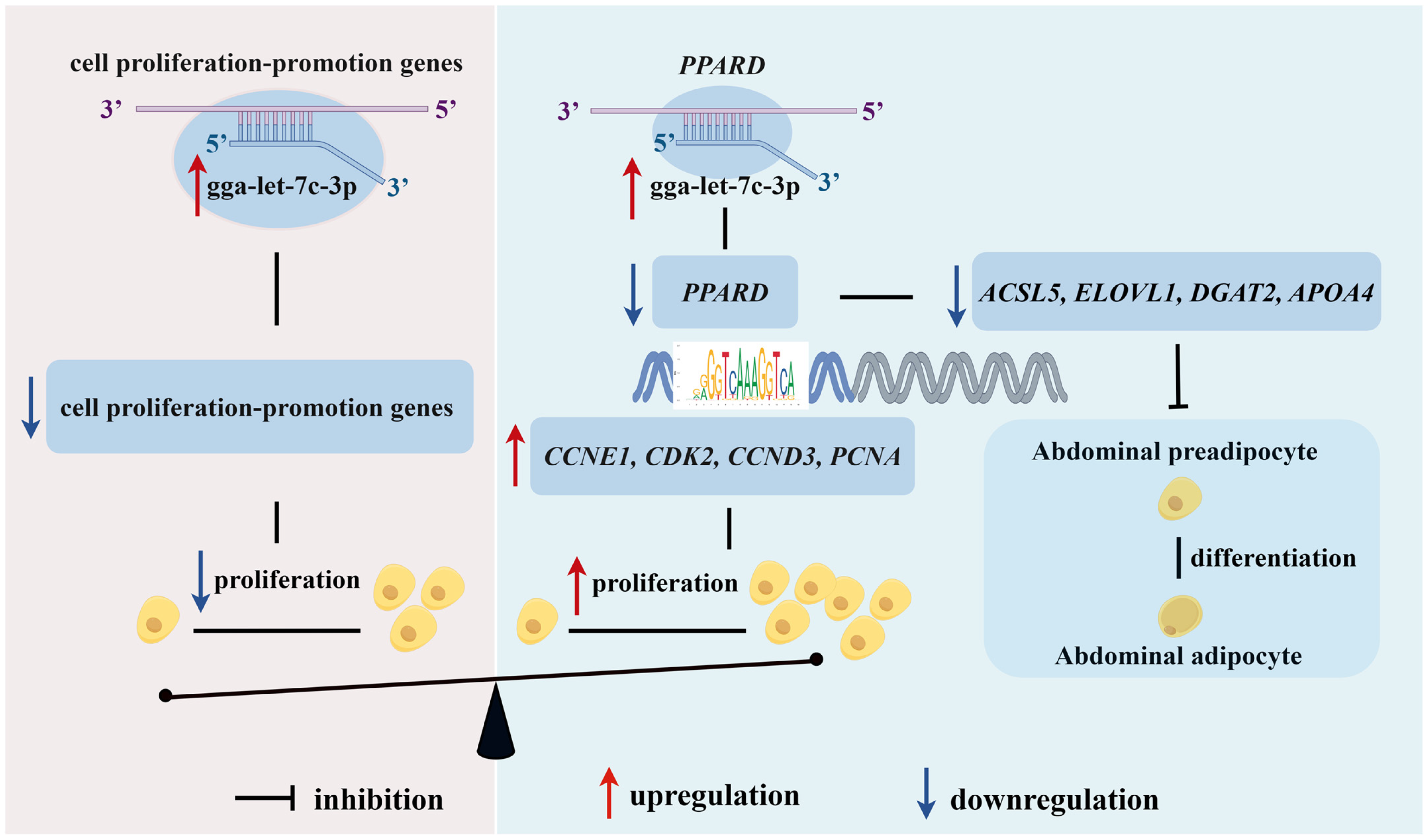 Biomolecules 16 00311 g007
