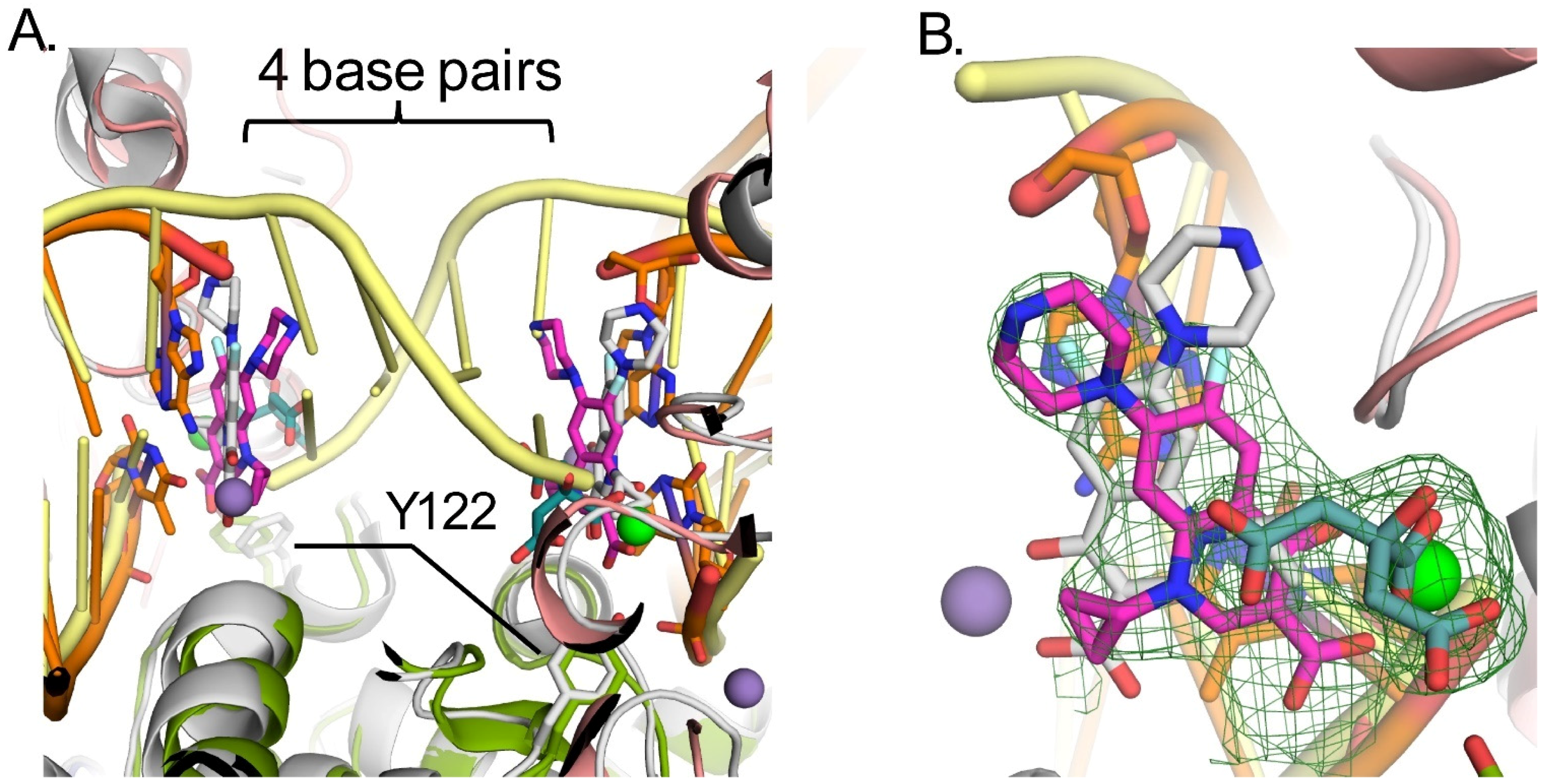 Biomolecules 16 00318 g004