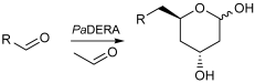 Biomolecules 16 00321 i001 Biomolecules 16 00321 i001