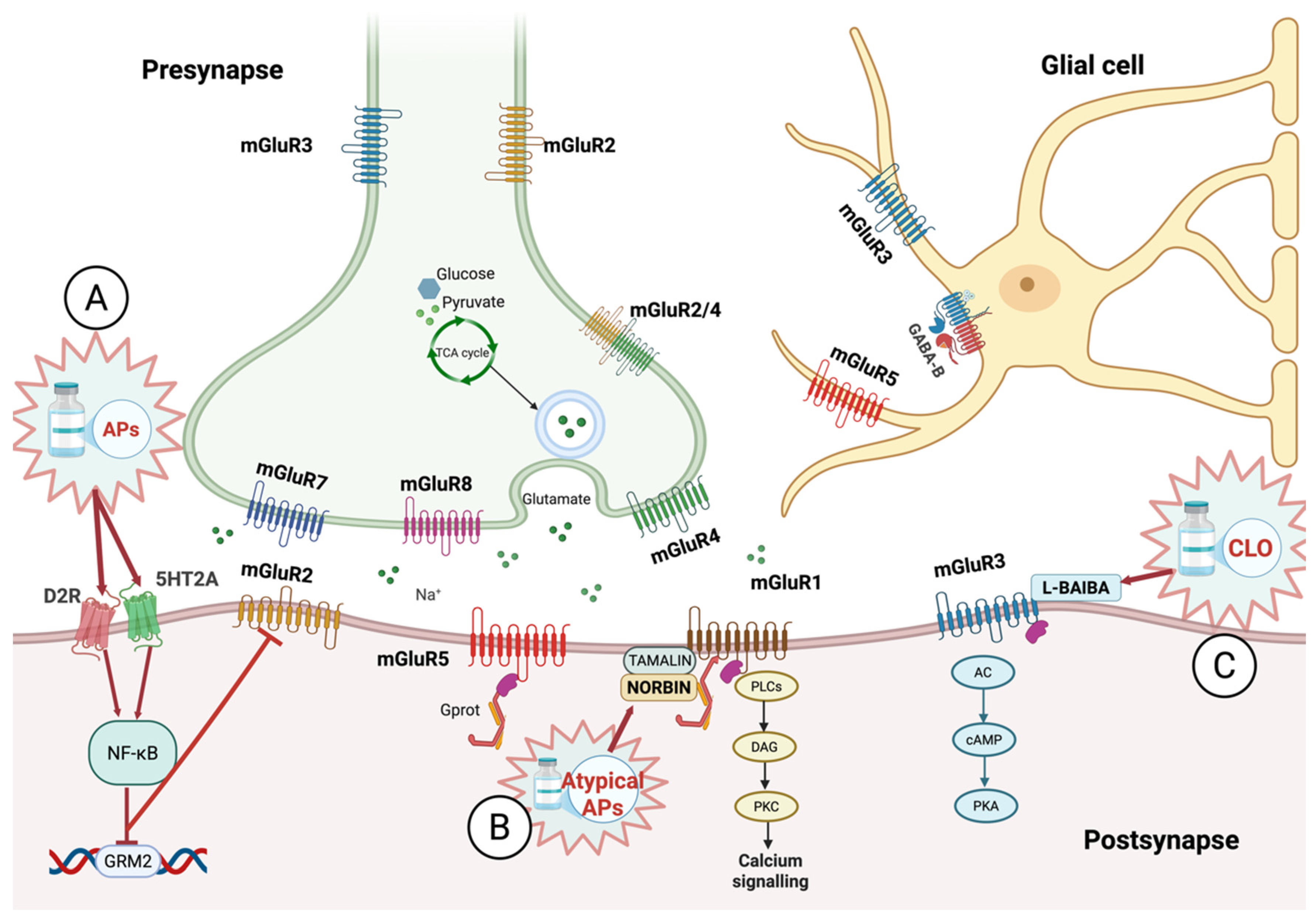 Biomolecules 16 00324 g002