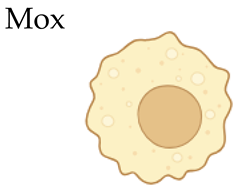 Biomolecules 16 00339 i004