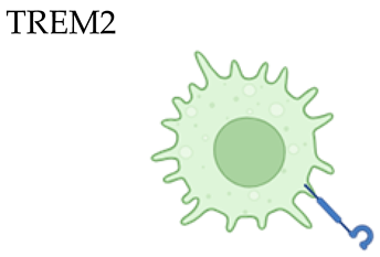 Biomolecules 16 00339 i006