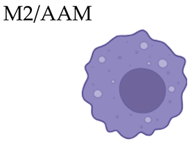 Biomolecules 16 00339 i009