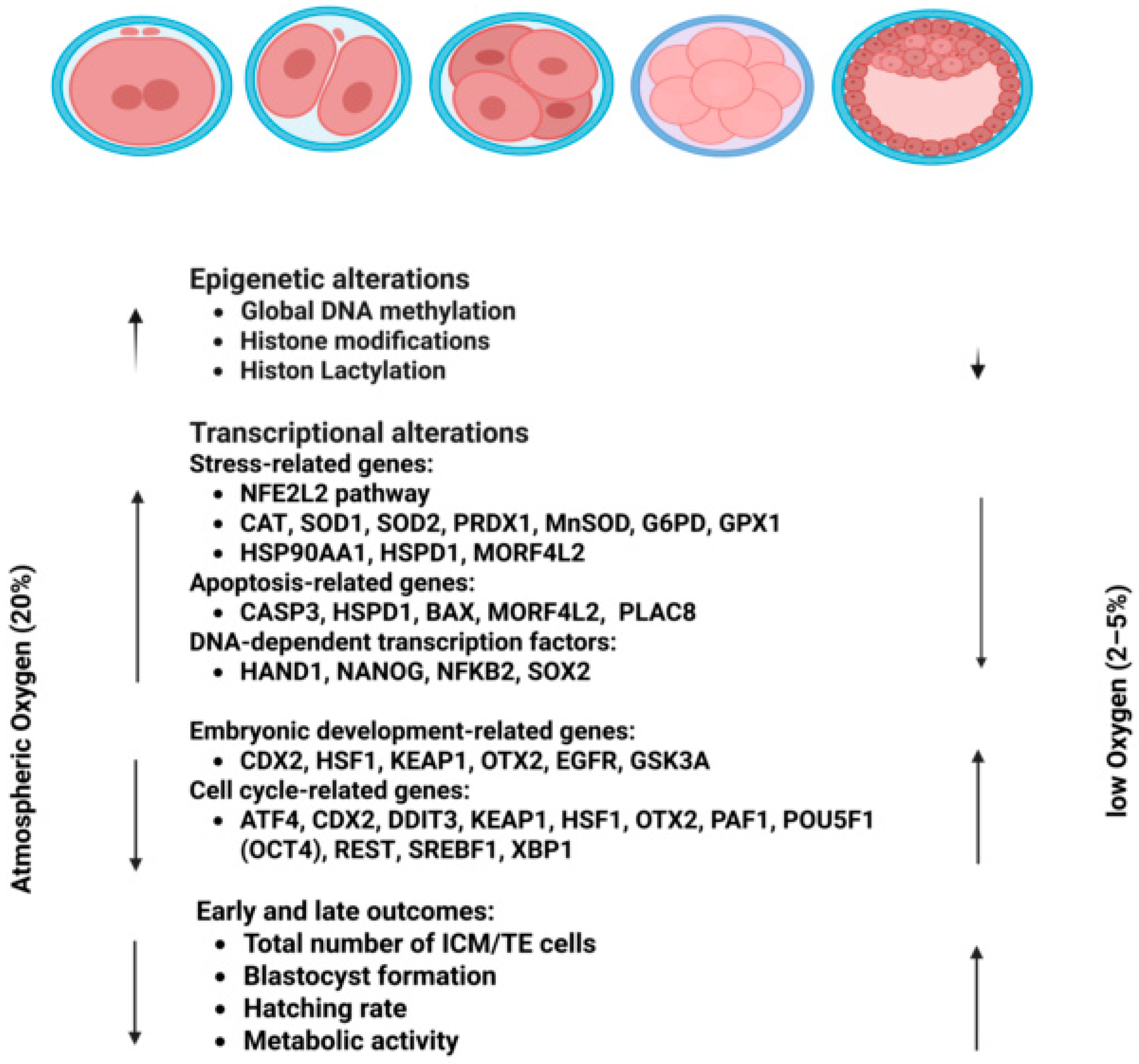 Biomolecules 16 00341 g003