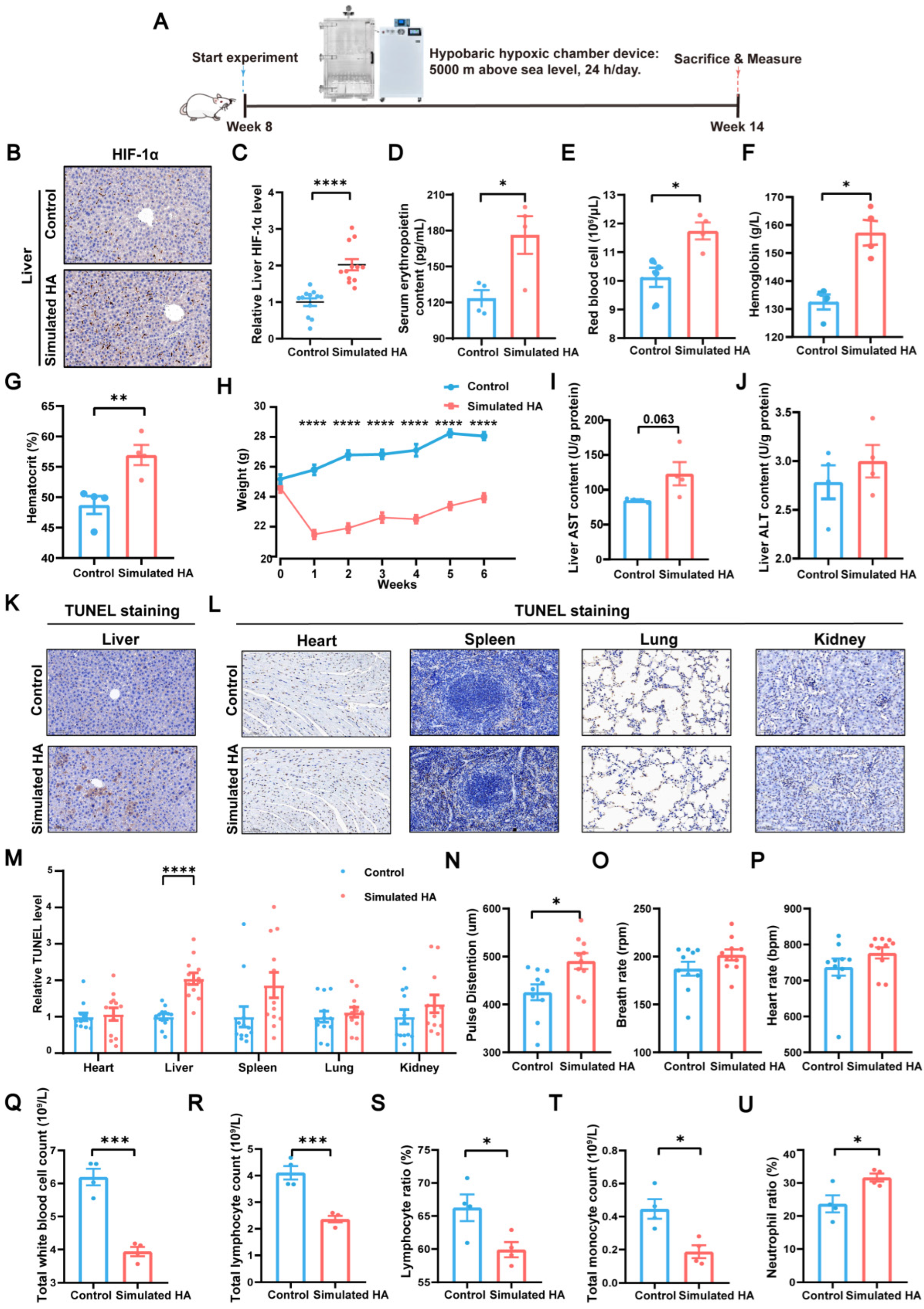 Biomolecules 16 00353 g002 Biomolecules 16 00353 g002
