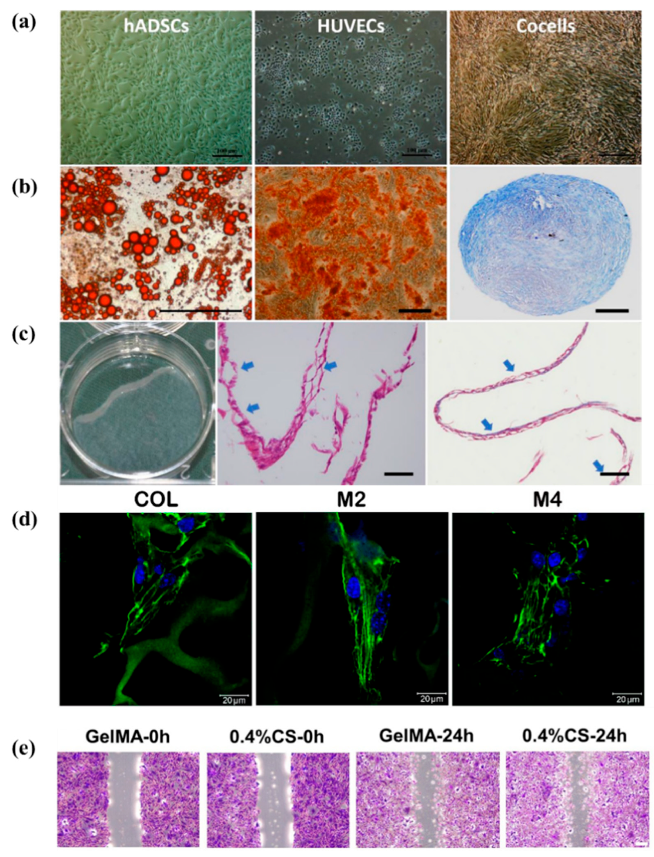 Biomolecules 16 00362 g008