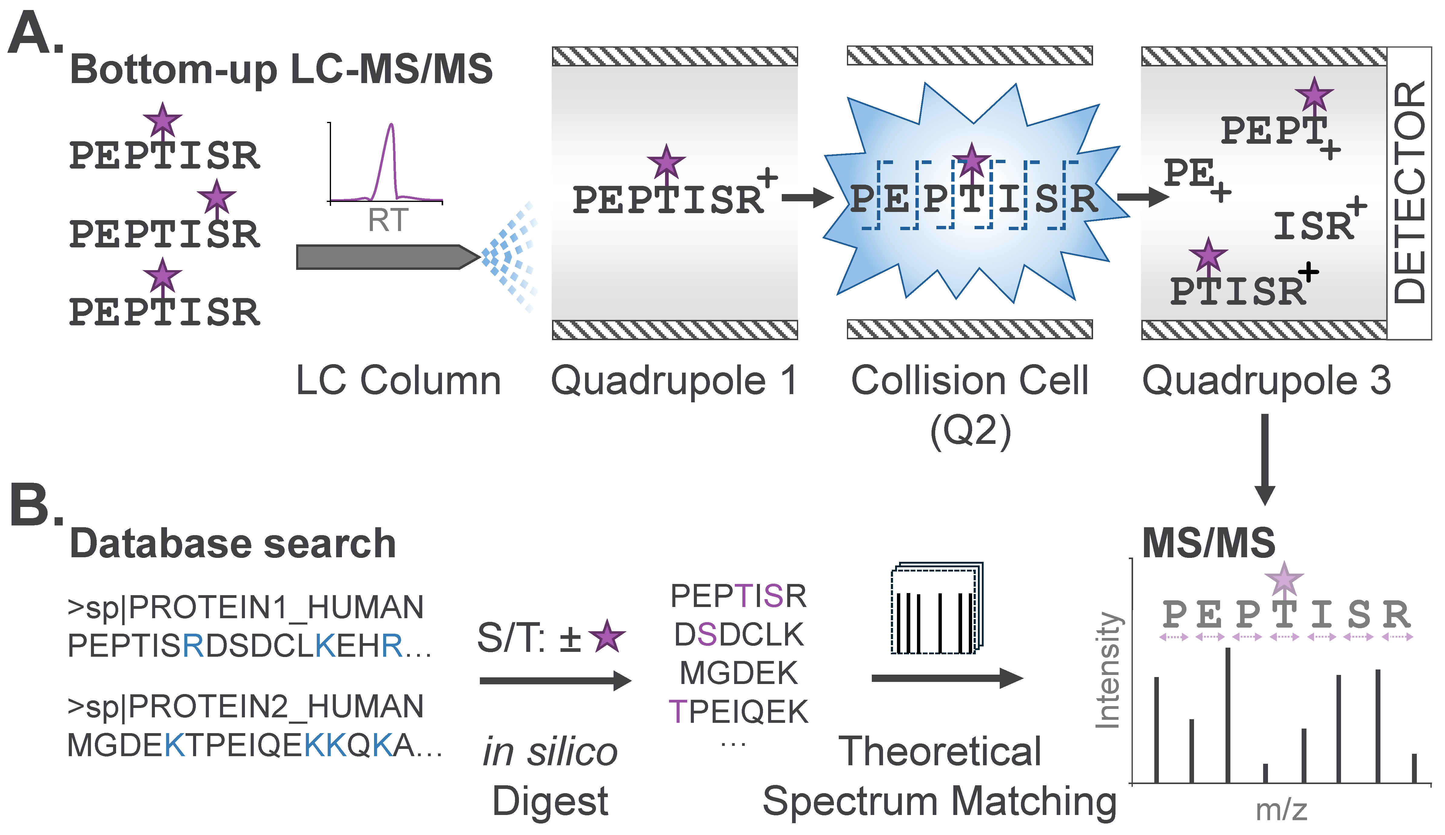 Biomolecules 16 00367 g002