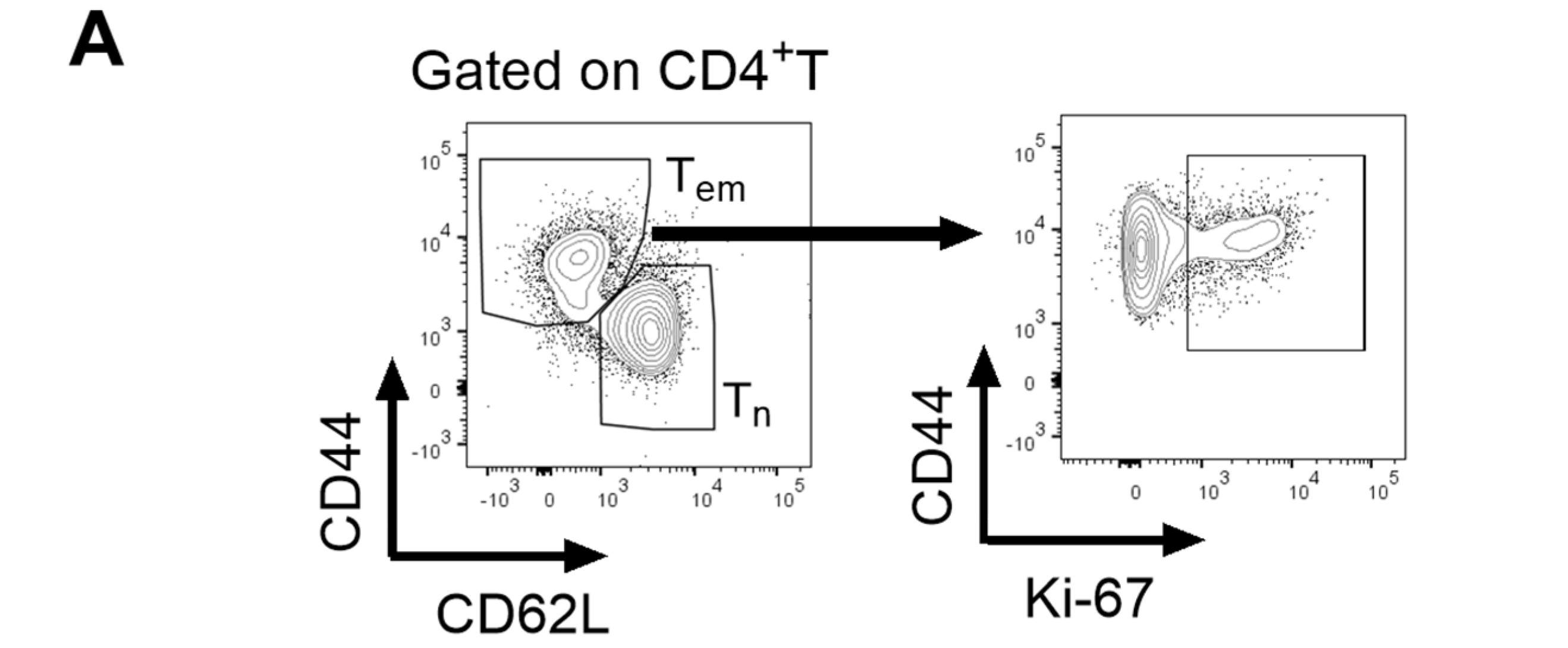 Biomolecules 16 00371 g003a