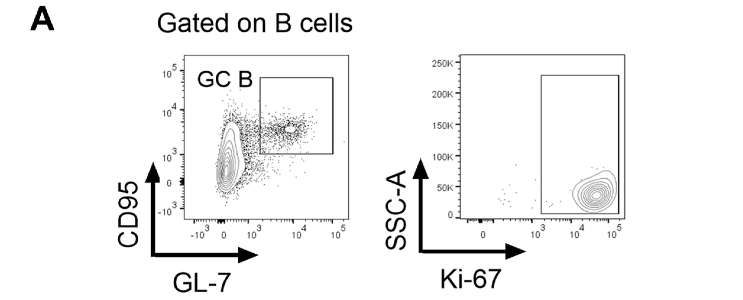 Biomolecules 16 00371 g007a
