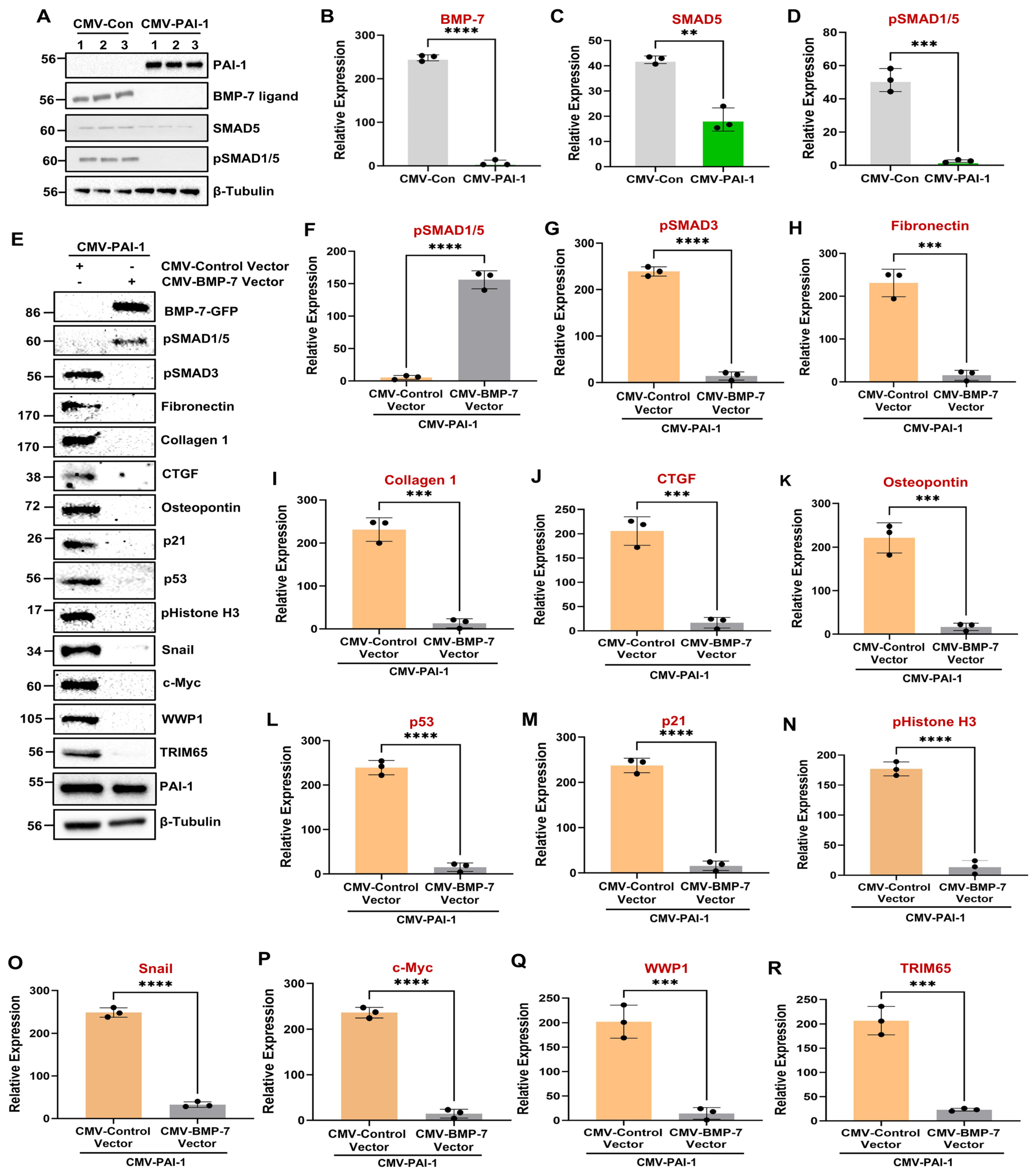 Biomolecules 16 00373 g009
