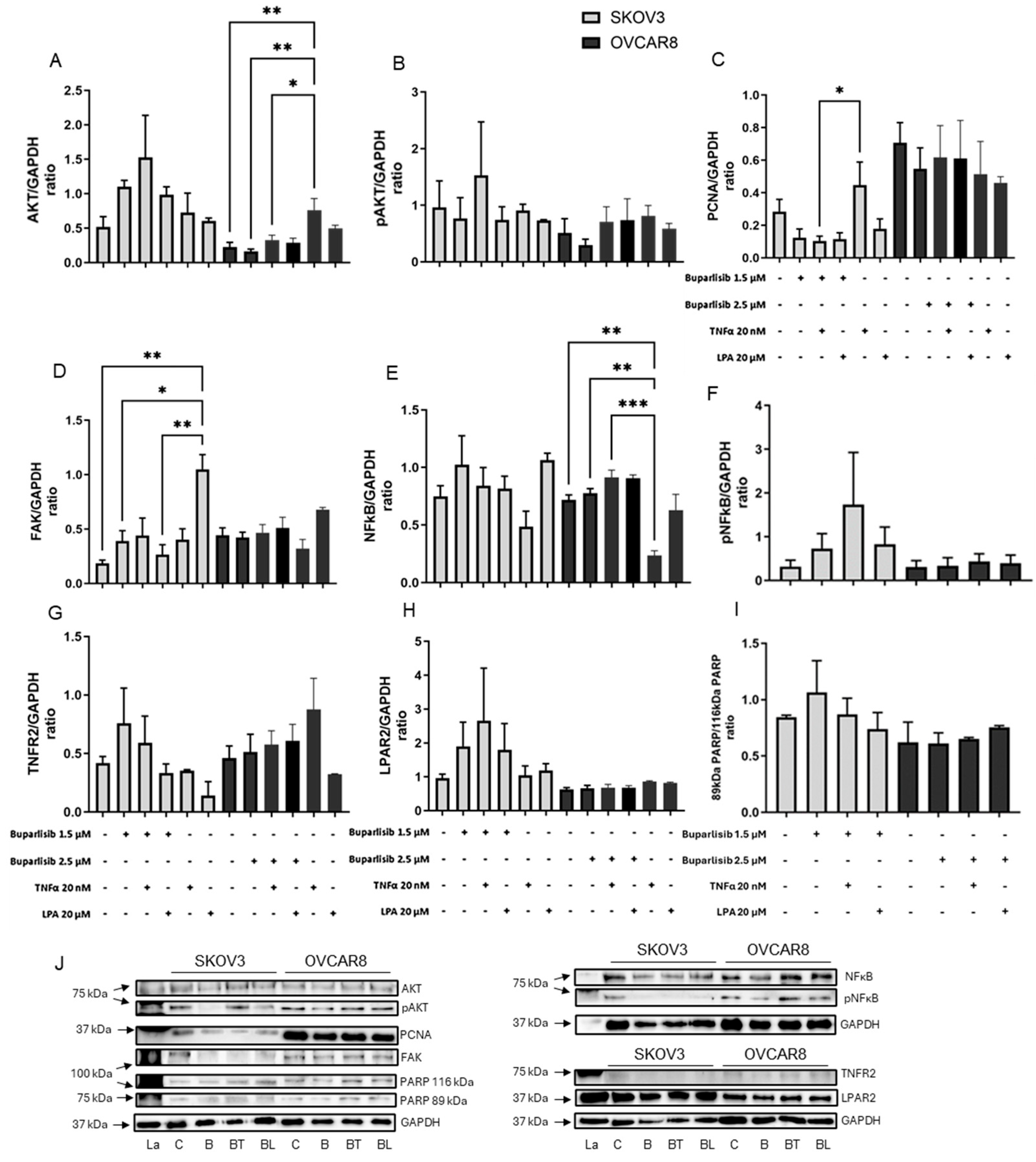 Biomolecules 16 00377 g006