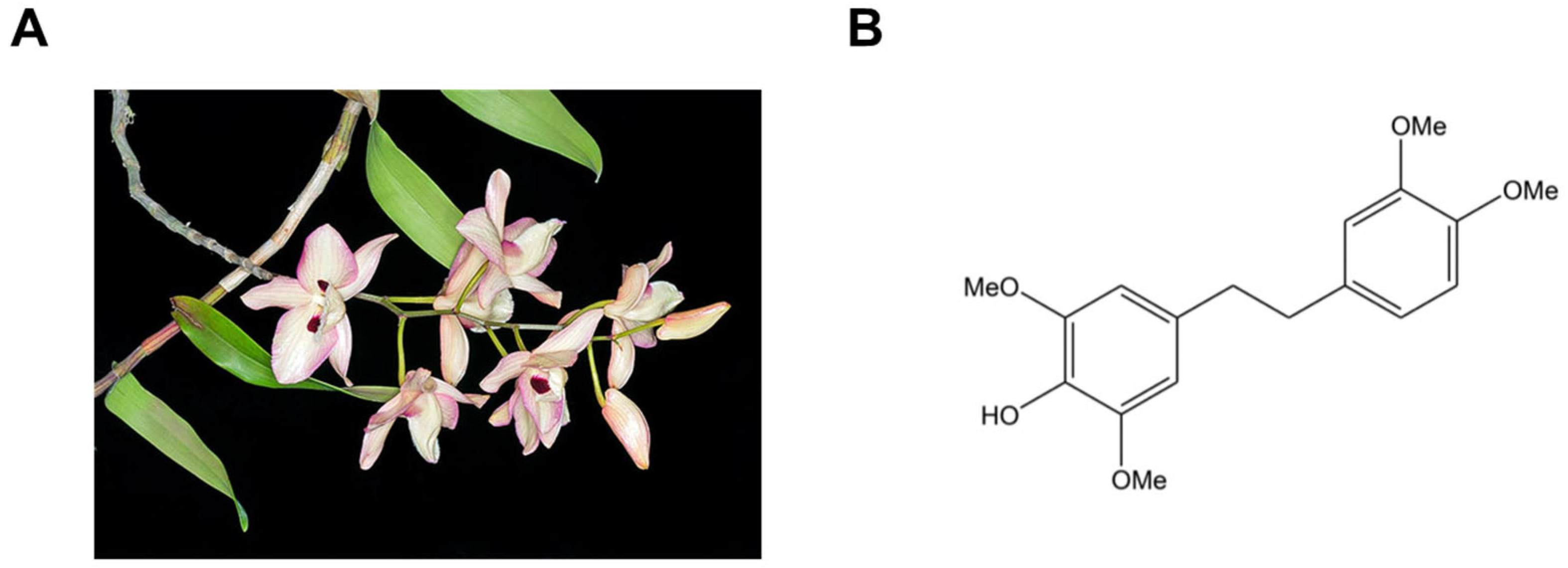 Biomolecules 16 00379 g001