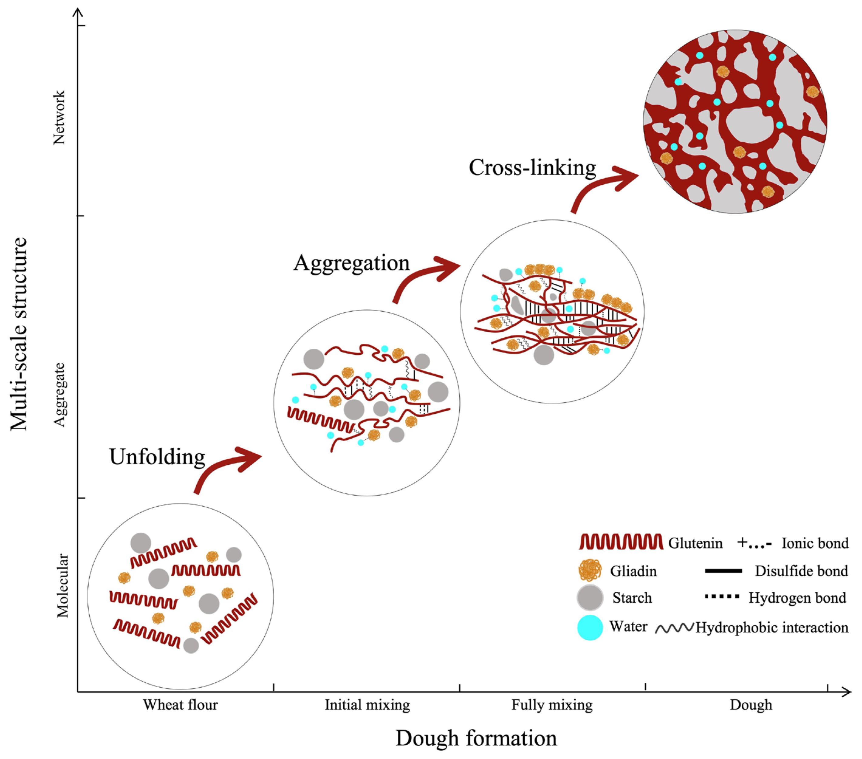 Biomolecules 16 00382 g001 Biomolecules 16 00382 g001